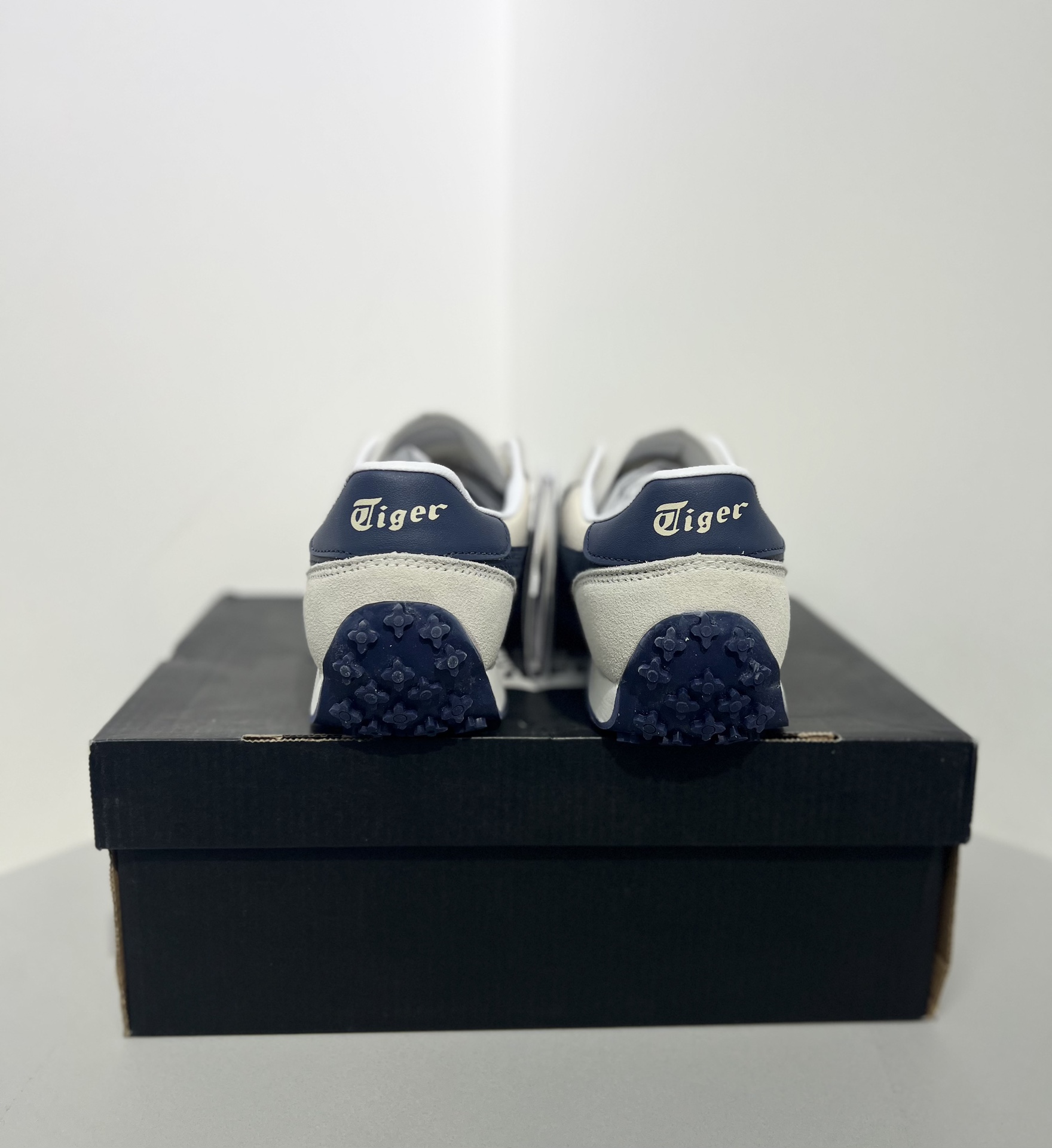 Dior Onitsuka Tiger Male Sneakers S
