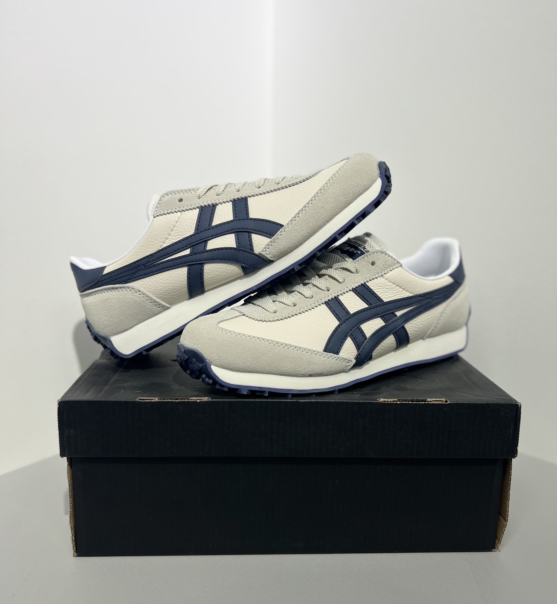 Dior Onitsuka Tiger Male Sneakers S