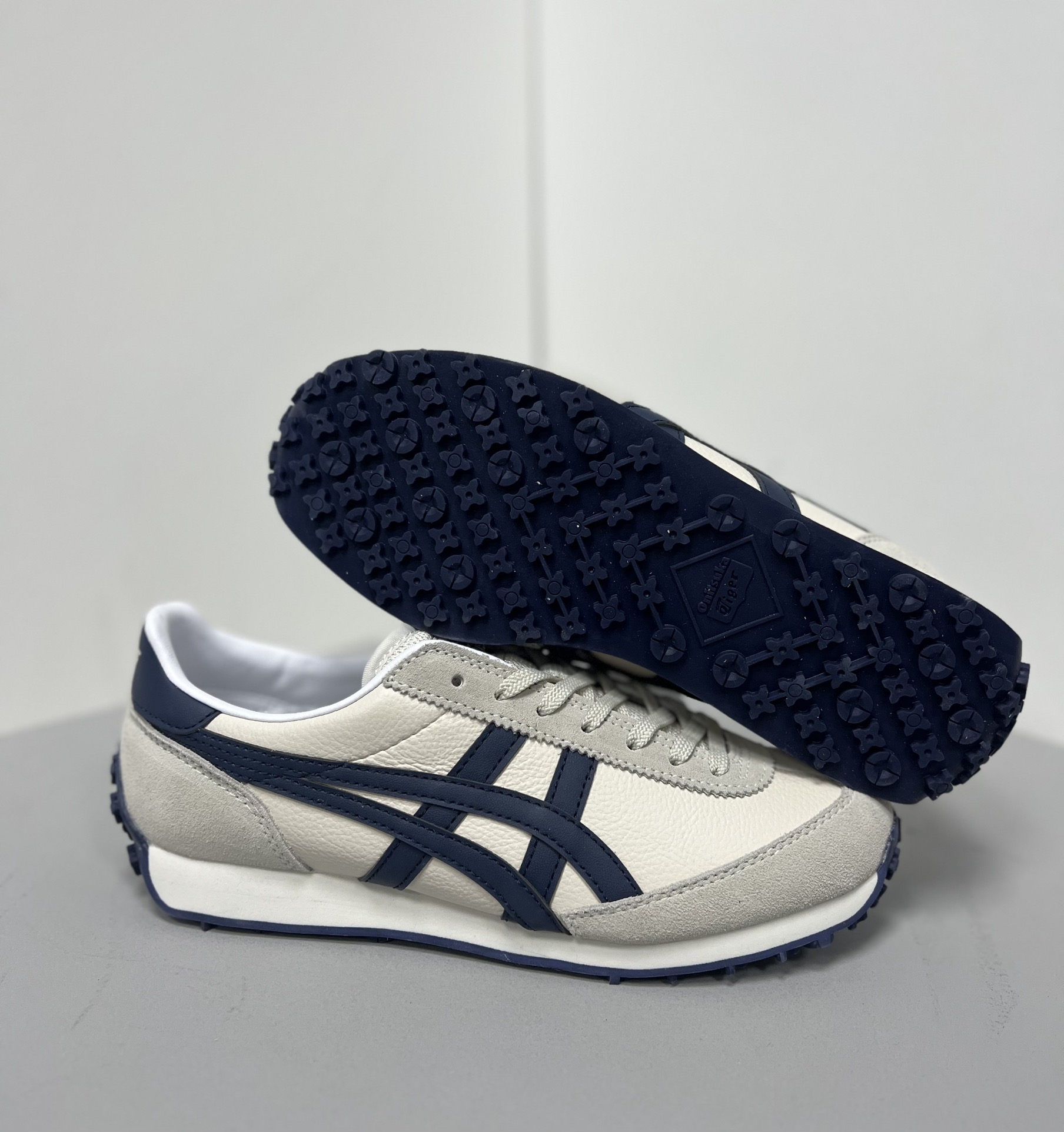 Dior Onitsuka Tiger Male Sneakers S