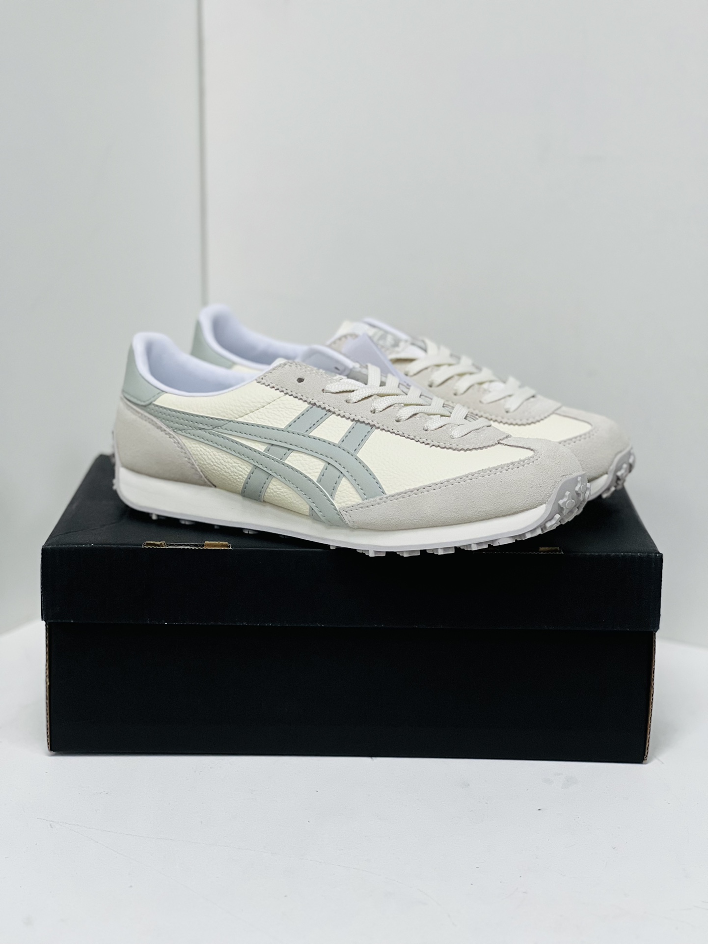 Dior Onitsuka Tiger Male Sneakers S