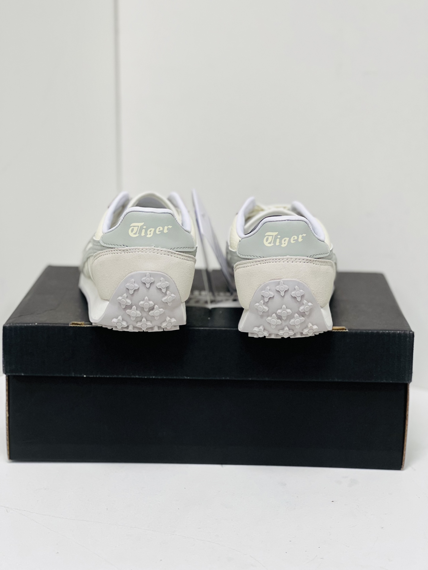 Dior Onitsuka Tiger Male Sneakers S