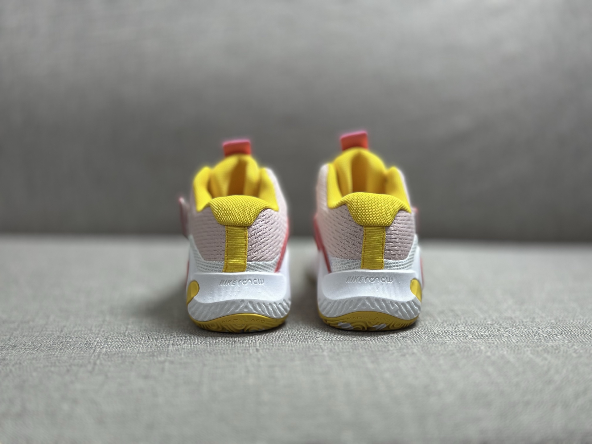 Nike Basic Shoes