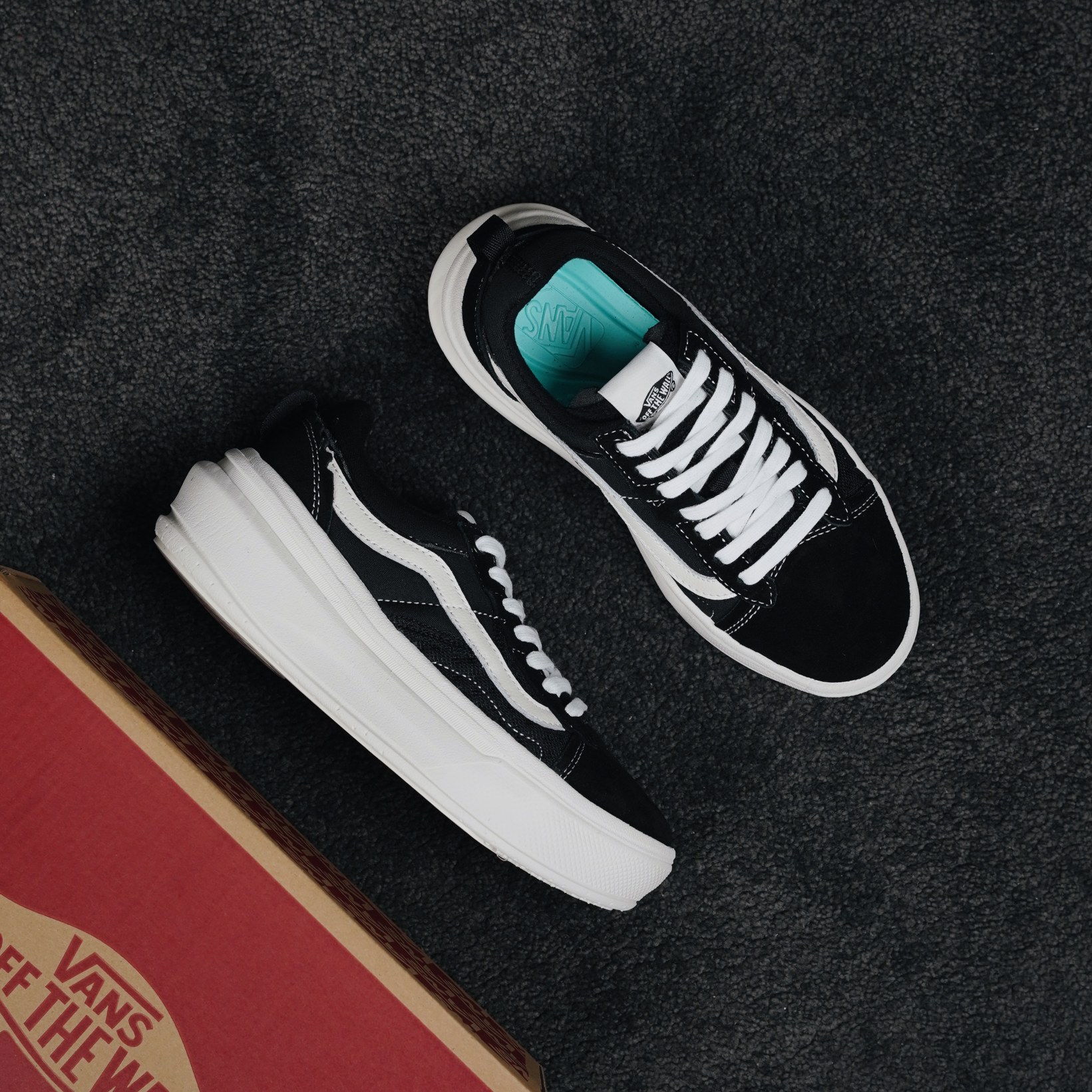 Vans Basic Shoes Mesh M-l-s