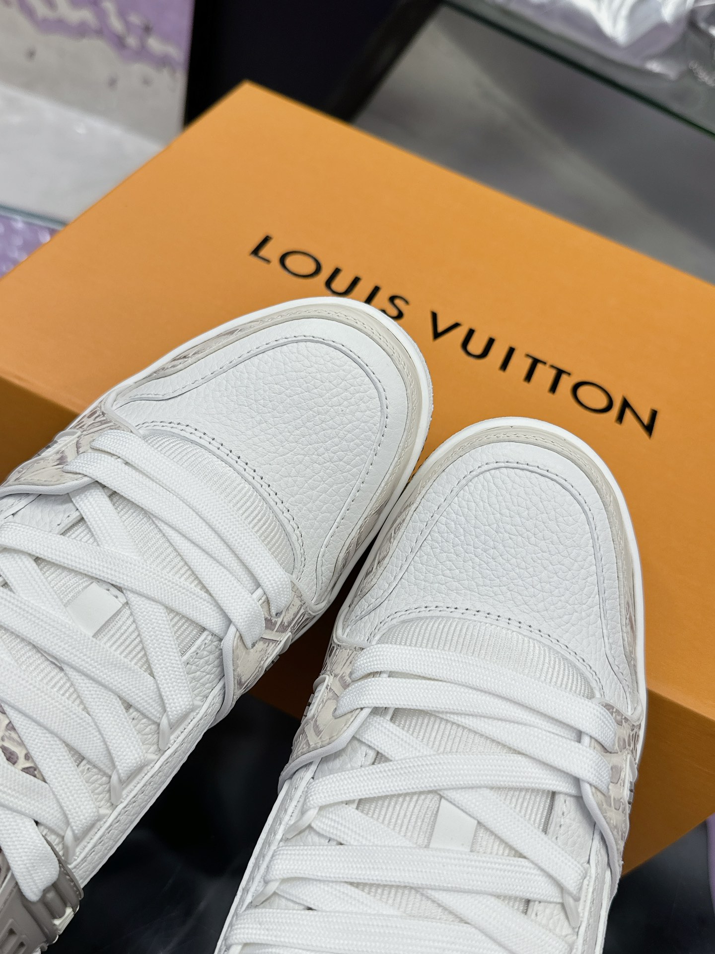 Louis Vuitton Male Board Shoes Mesh M-l