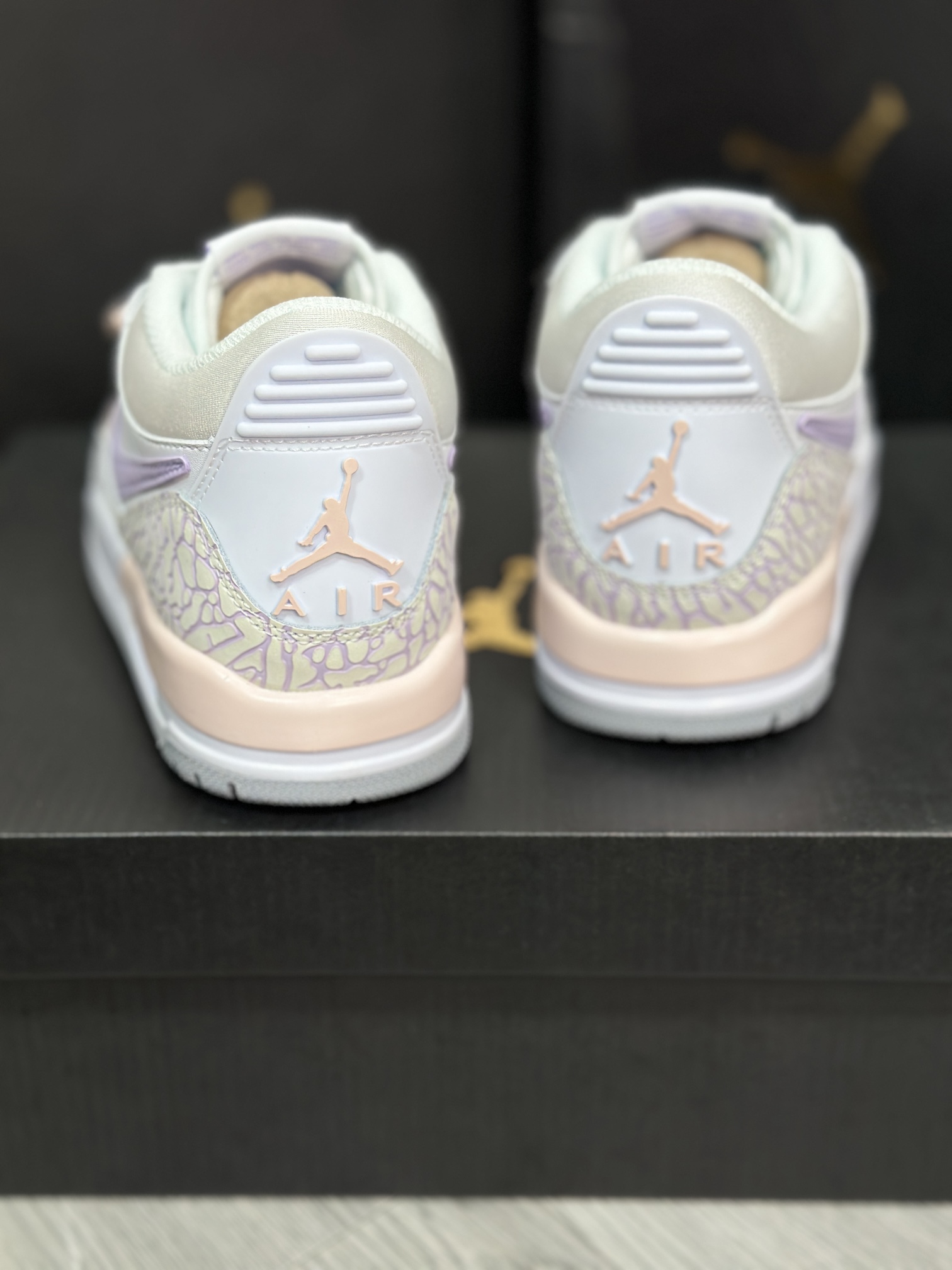 Jordan Nike Basic Shoes L