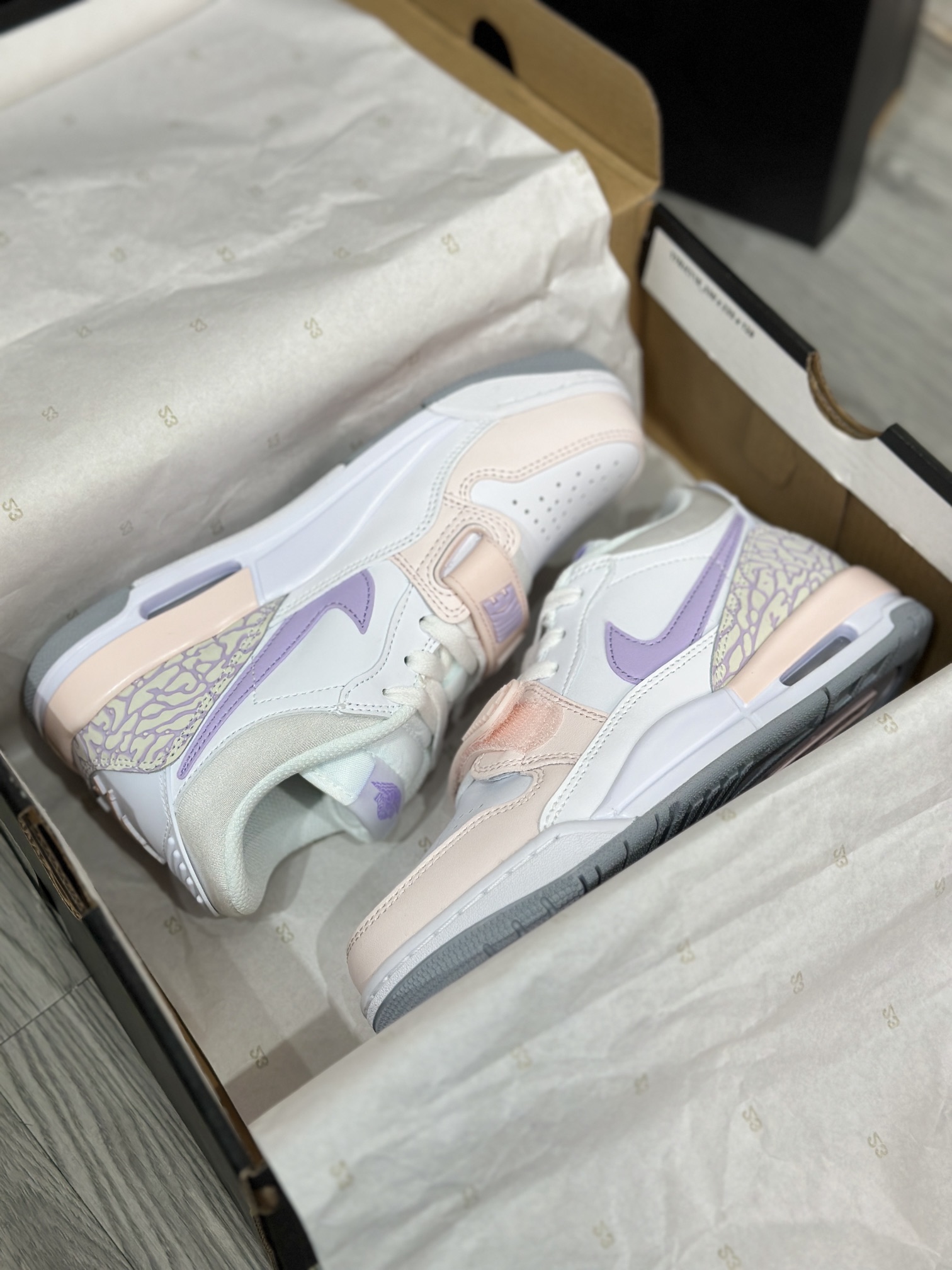 Jordan Nike Basic Shoes L