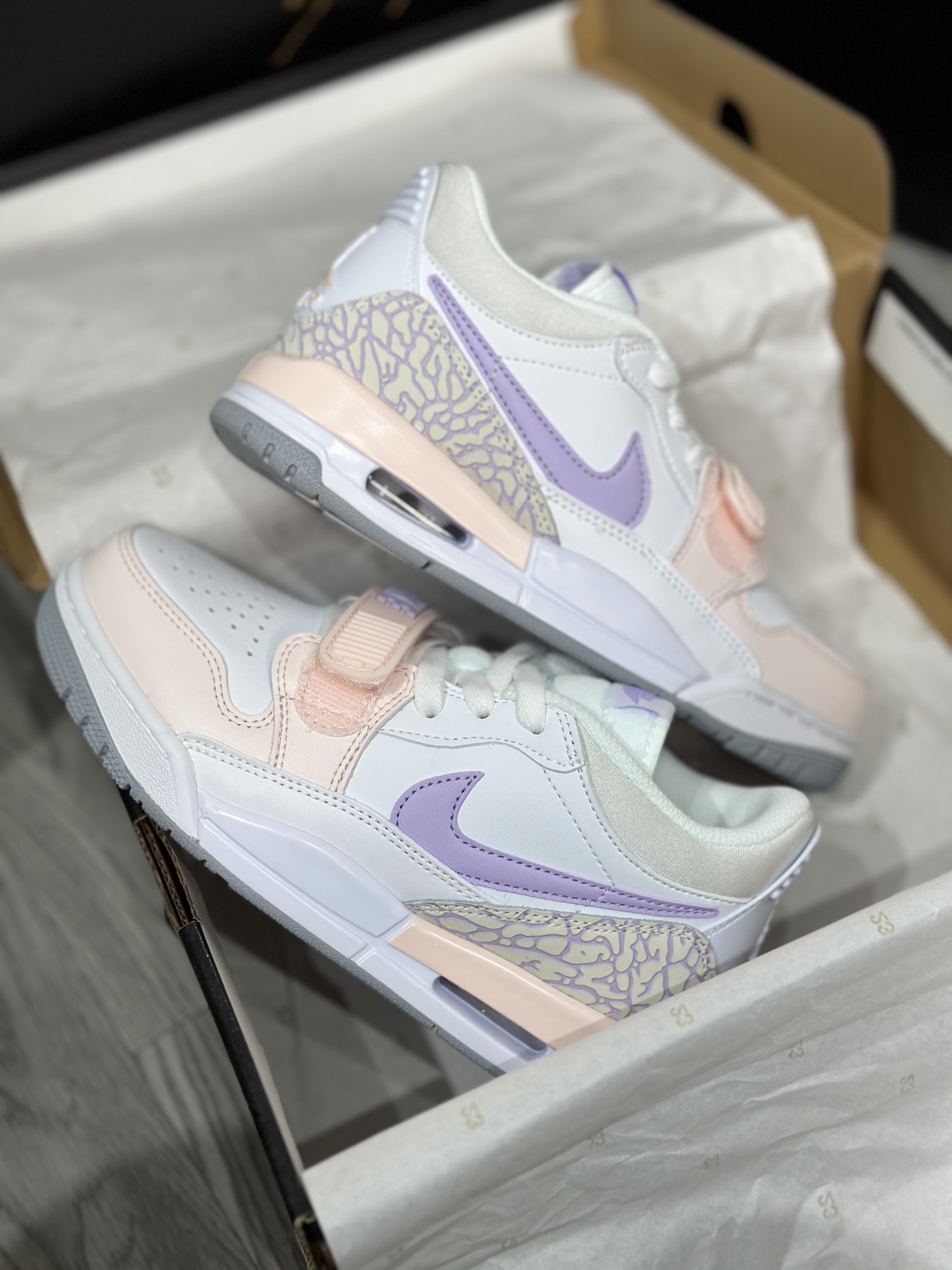 Jordan Nike Basic Shoes L