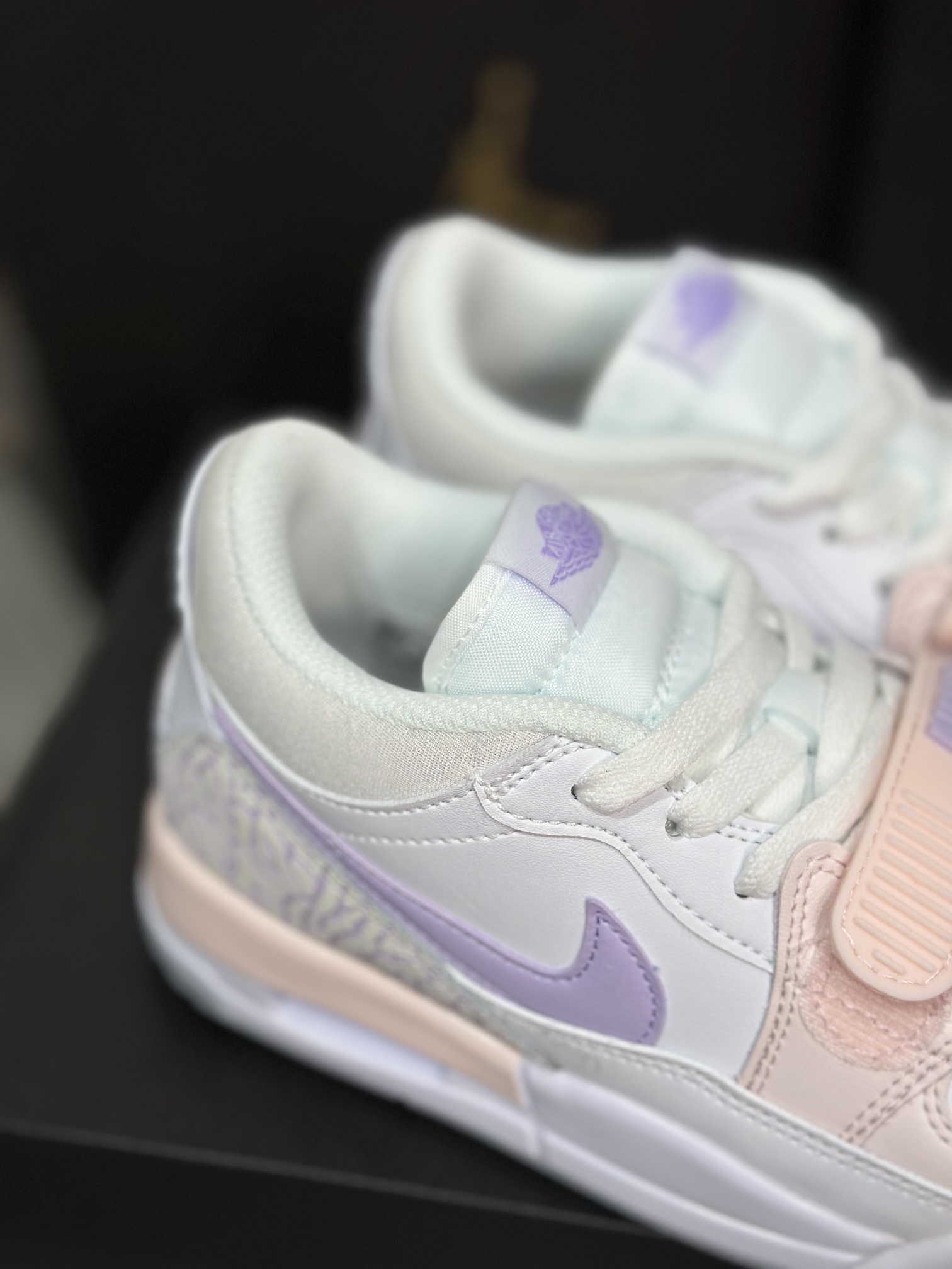 Jordan Nike Basic Shoes L