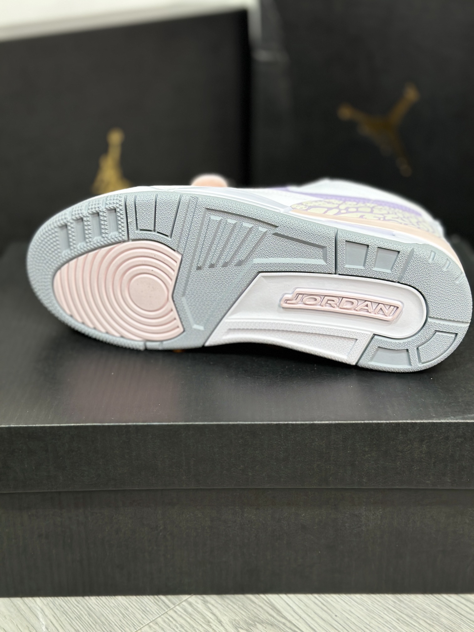 Jordan Nike Basic Shoes L