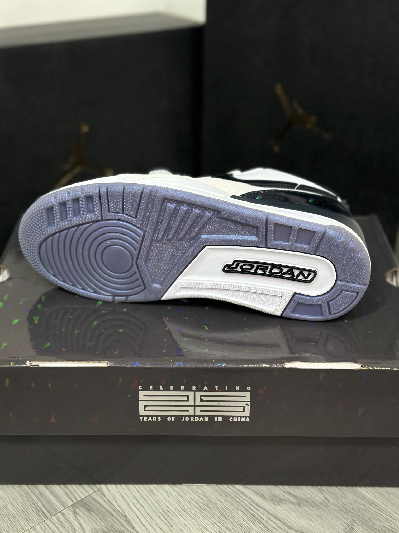 Jordan Nike Basic Shoes L