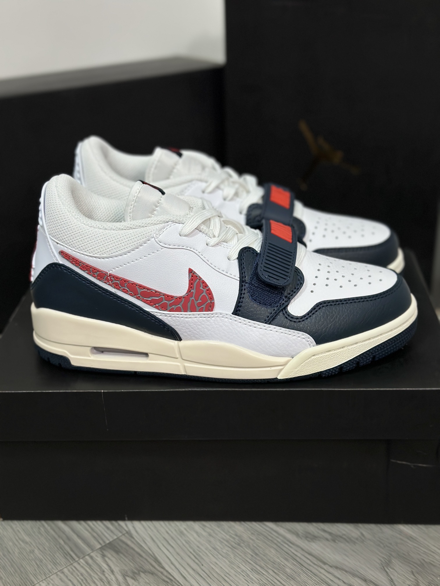 Jordan Nike Basic Shoes L