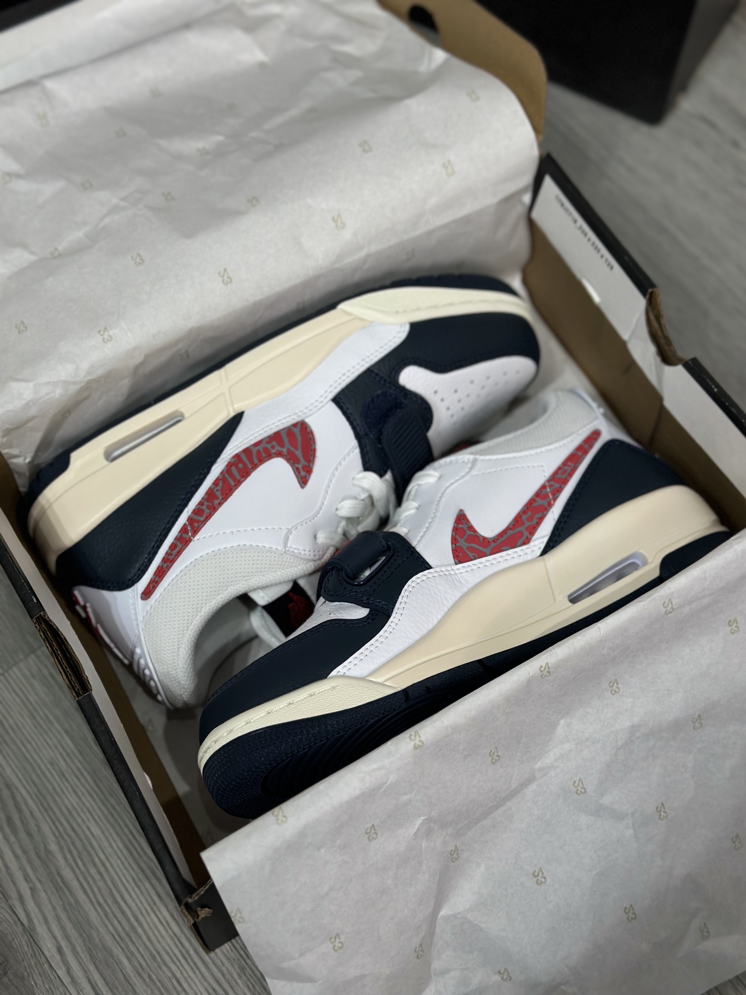 Jordan Nike Basic Shoes L