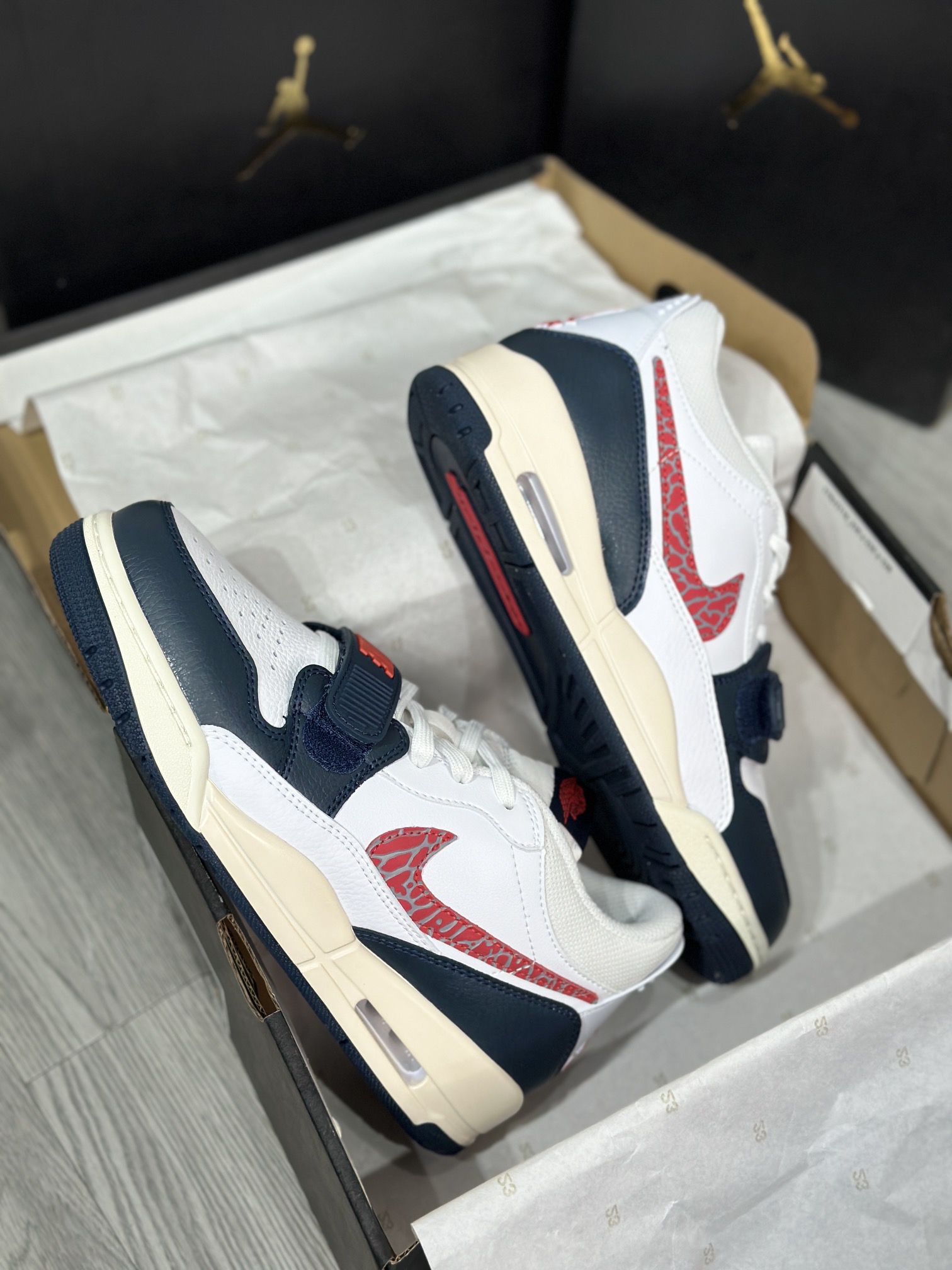 Jordan Nike Basic Shoes L