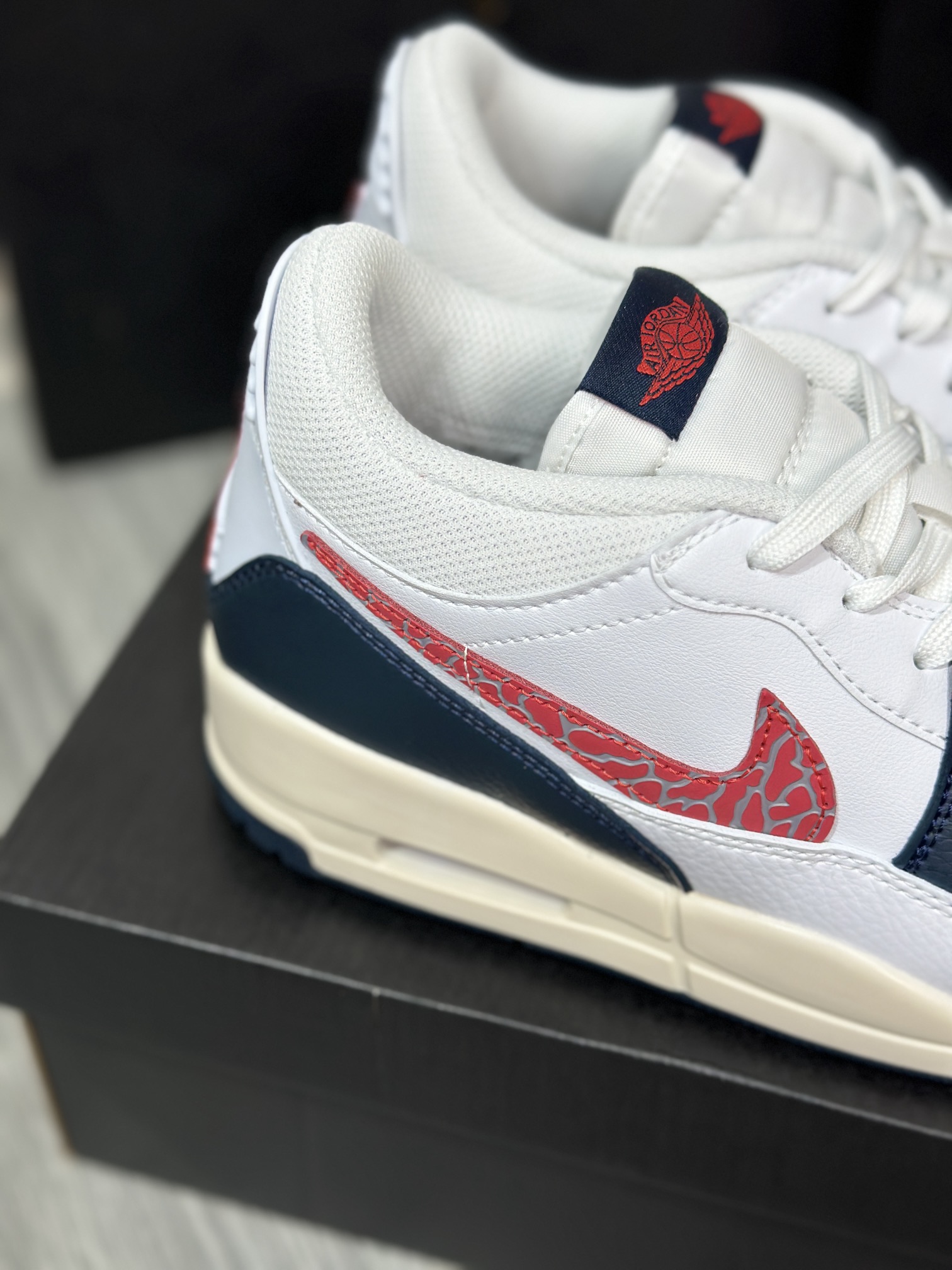 Jordan Nike Basic Shoes L