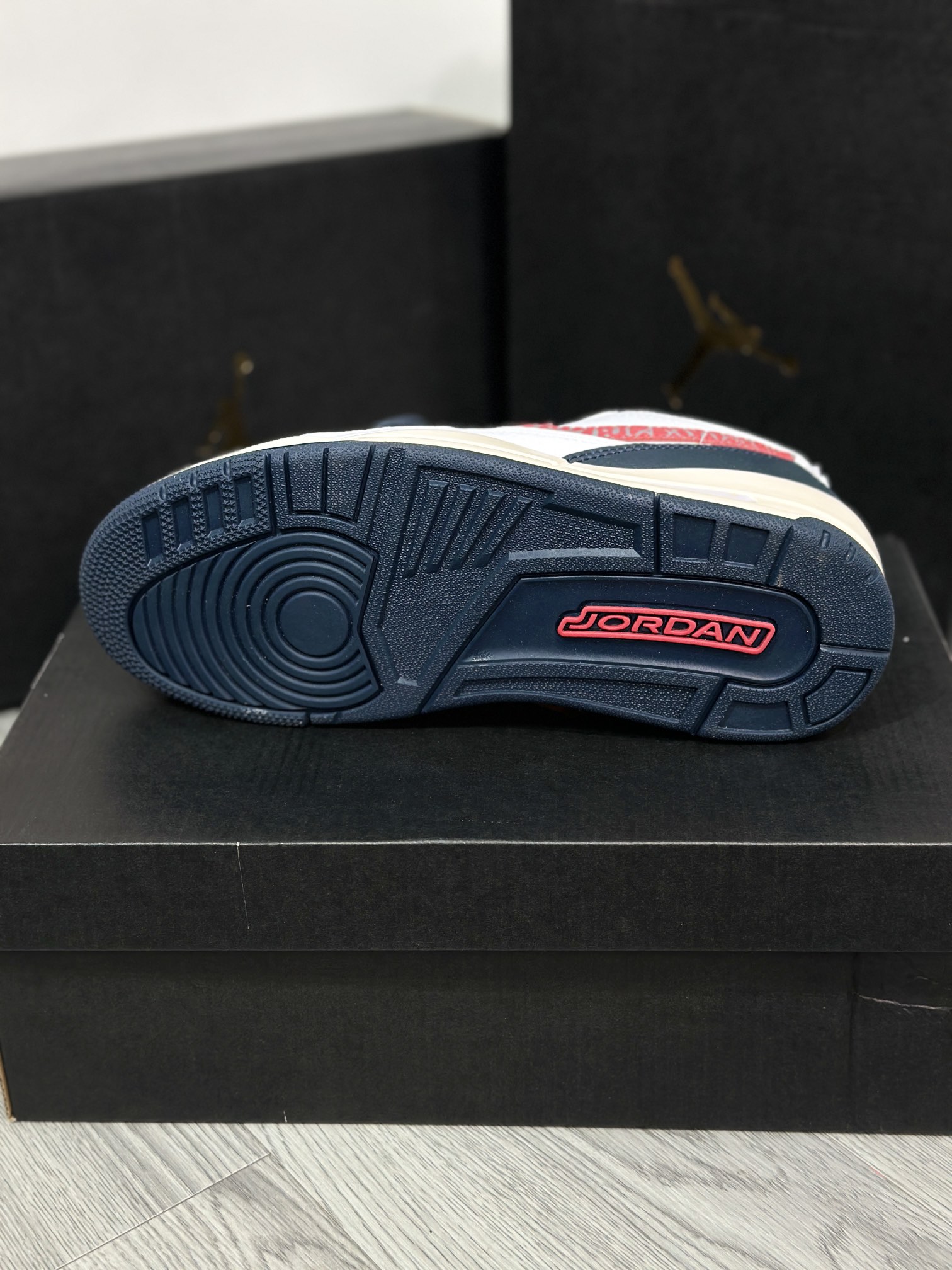 Jordan Nike Basic Shoes L