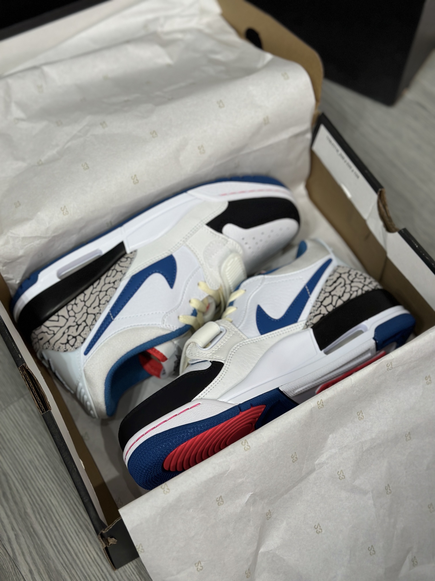 Jordan Nike Basic Shoes L