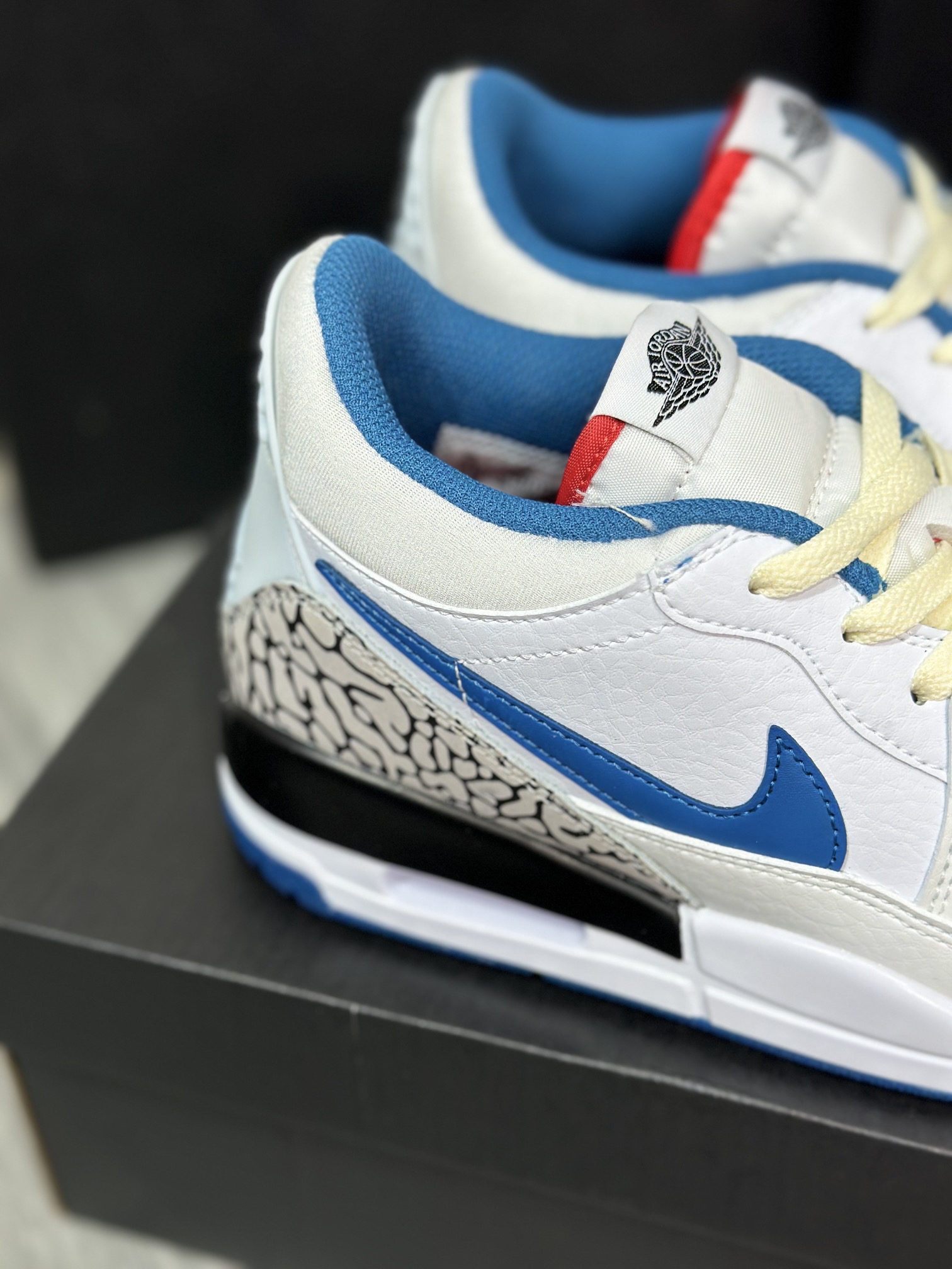 Jordan Nike Basic Shoes L