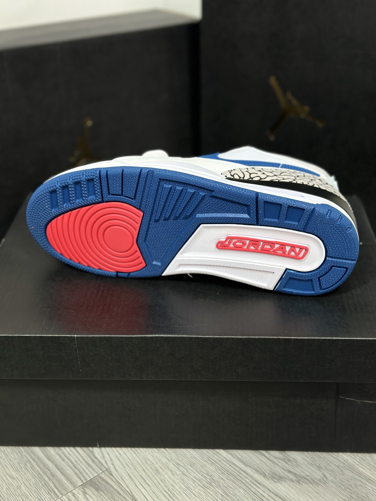 Jordan Nike Basic Shoes L