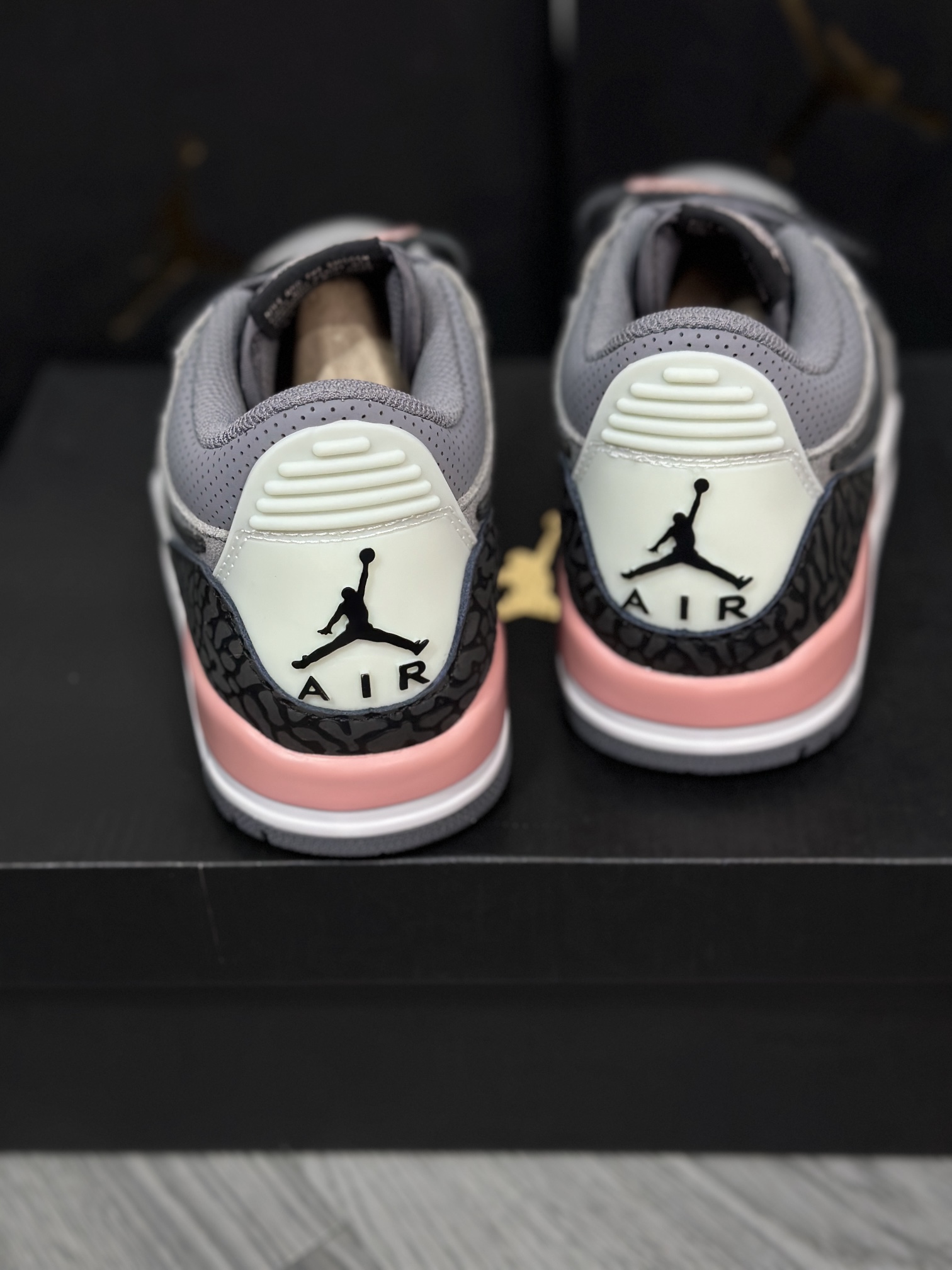 Jordan Nike Basic Shoes L