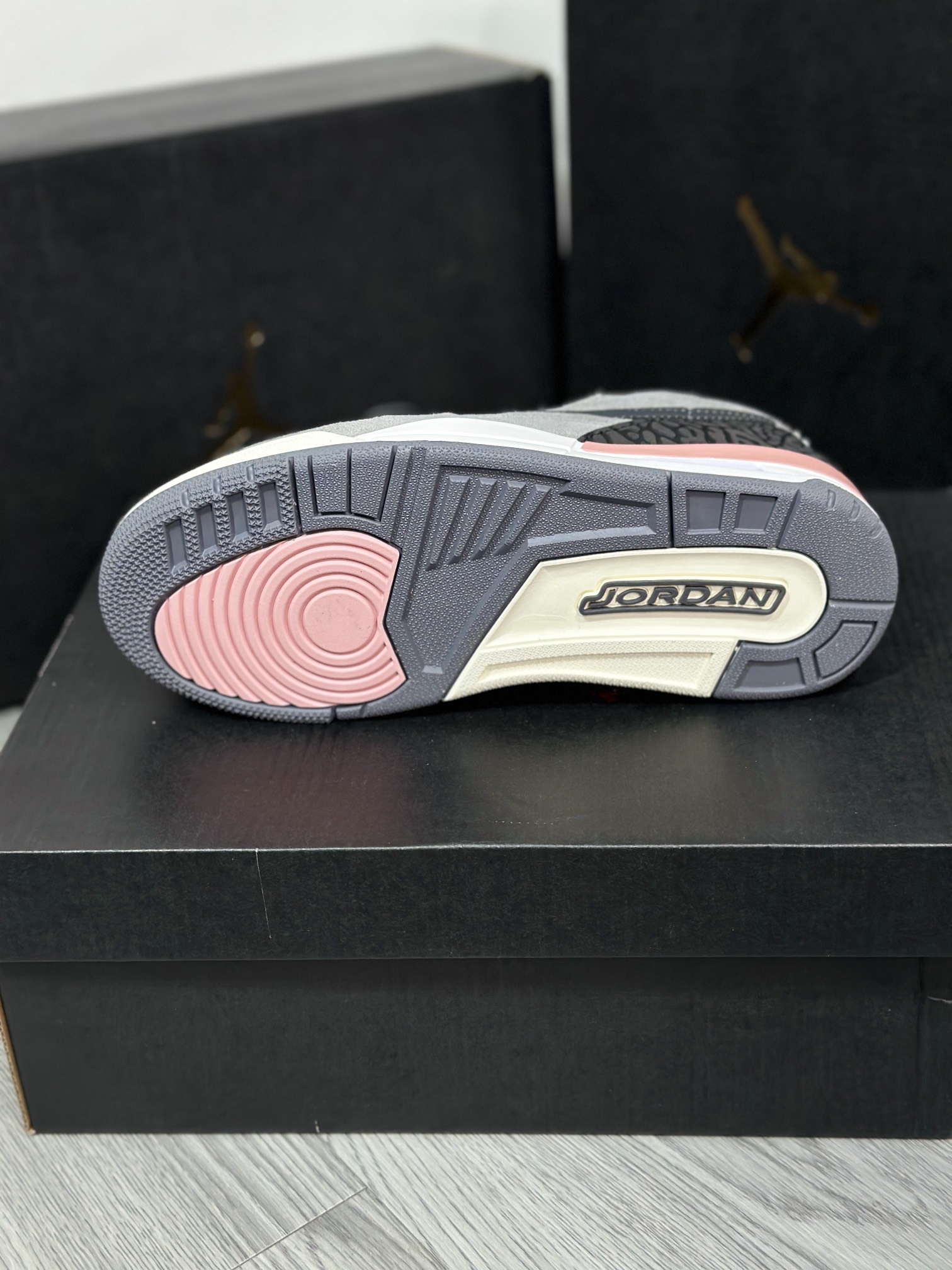 Jordan Nike Basic Shoes L