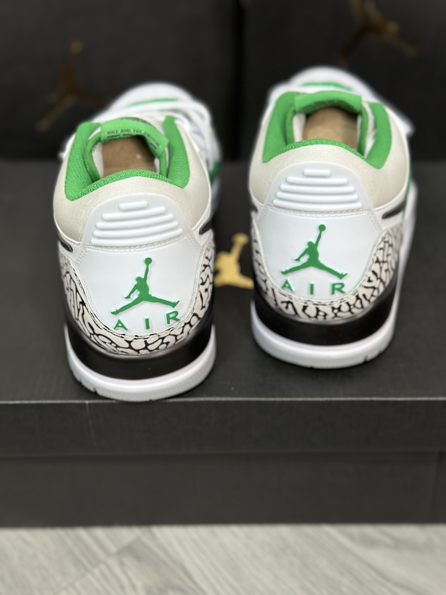 Jordan Nike Basic Shoes L