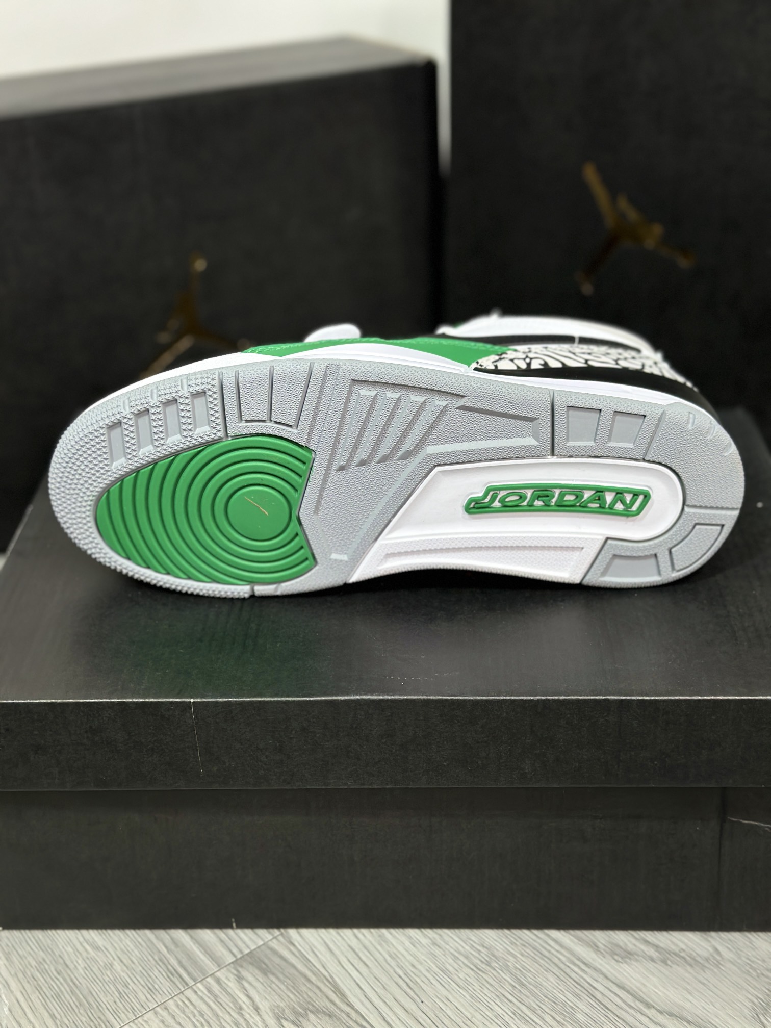 Jordan Nike Basic Shoes L