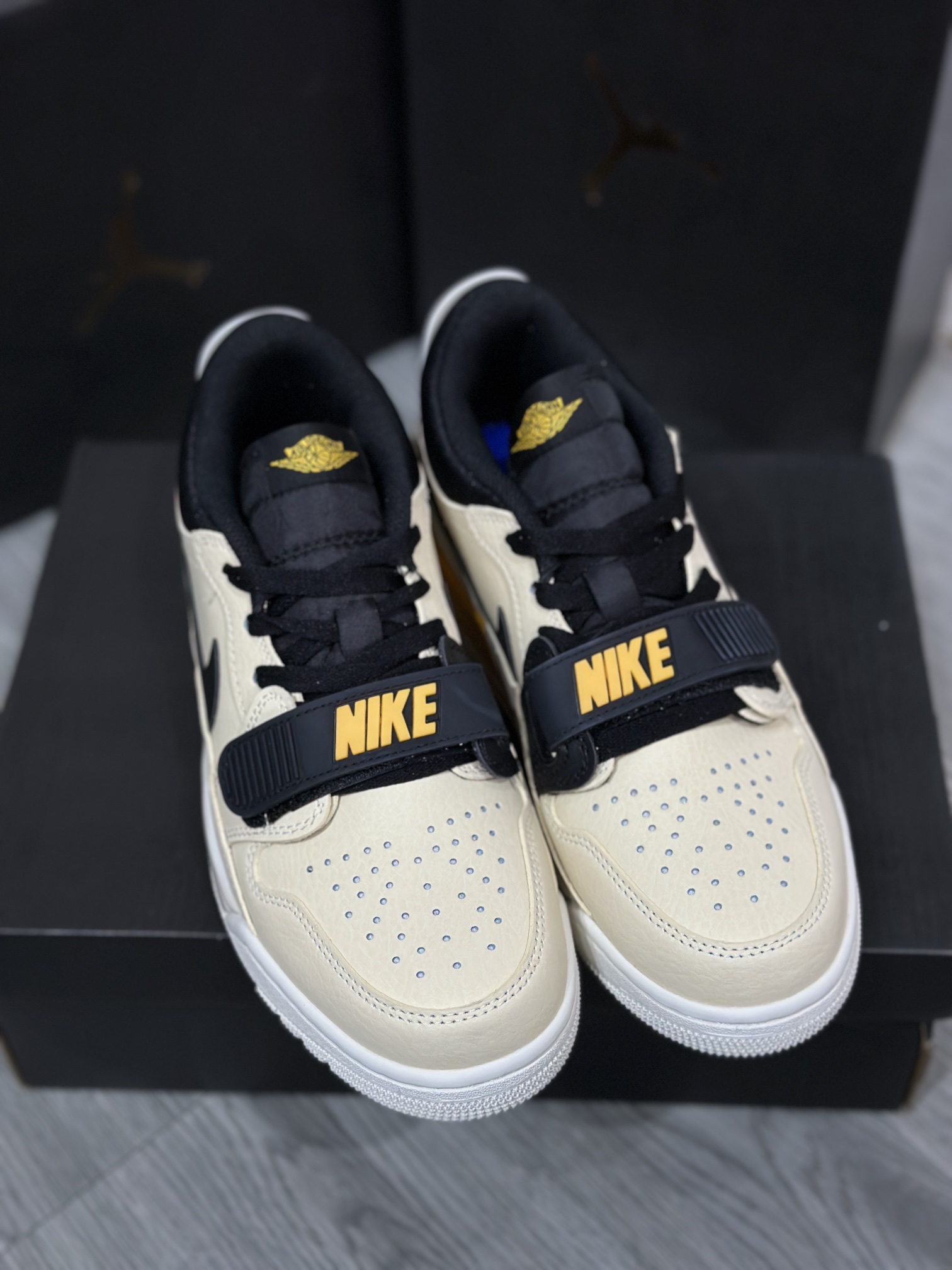 Jordan Nike Basic Shoes L