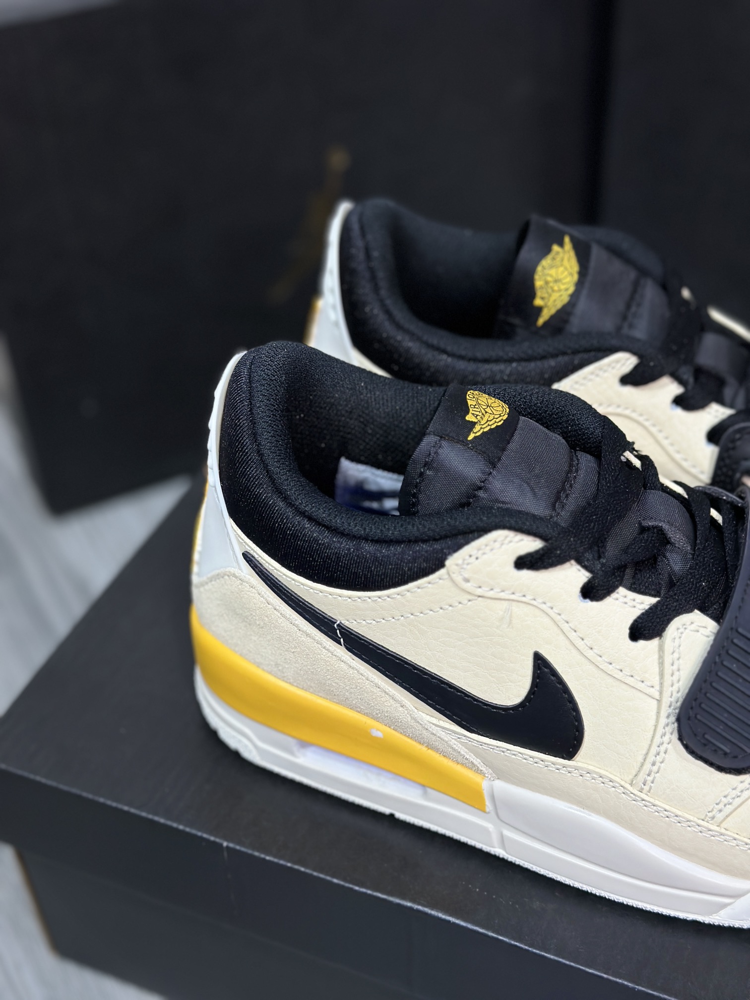 Jordan Nike Basic Shoes L