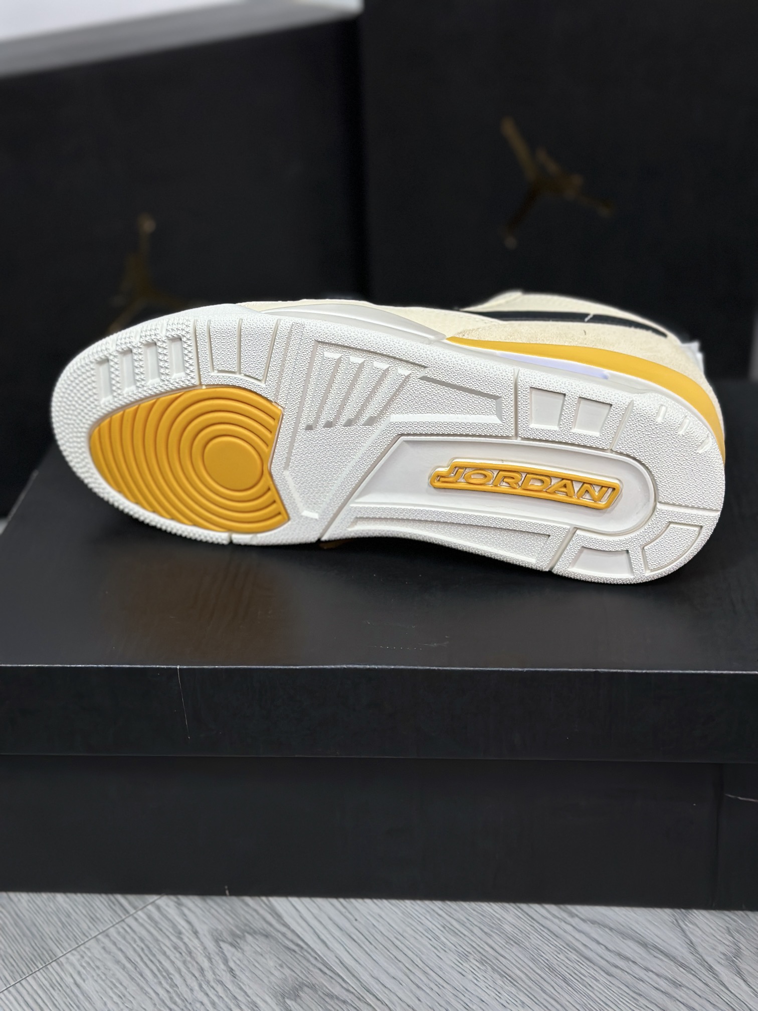 Jordan Nike Basic Shoes L