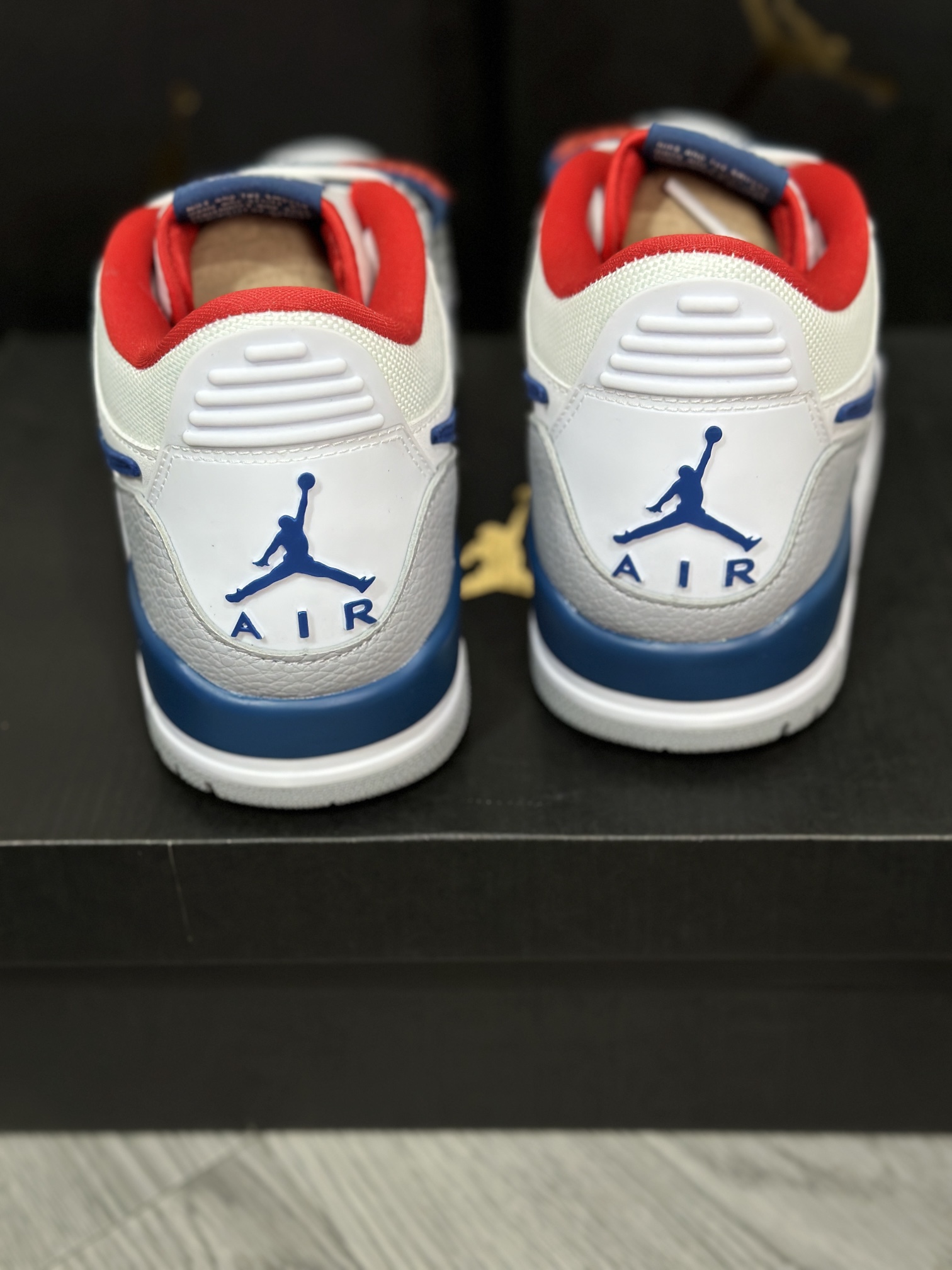 Jordan Nike Basic Shoes L