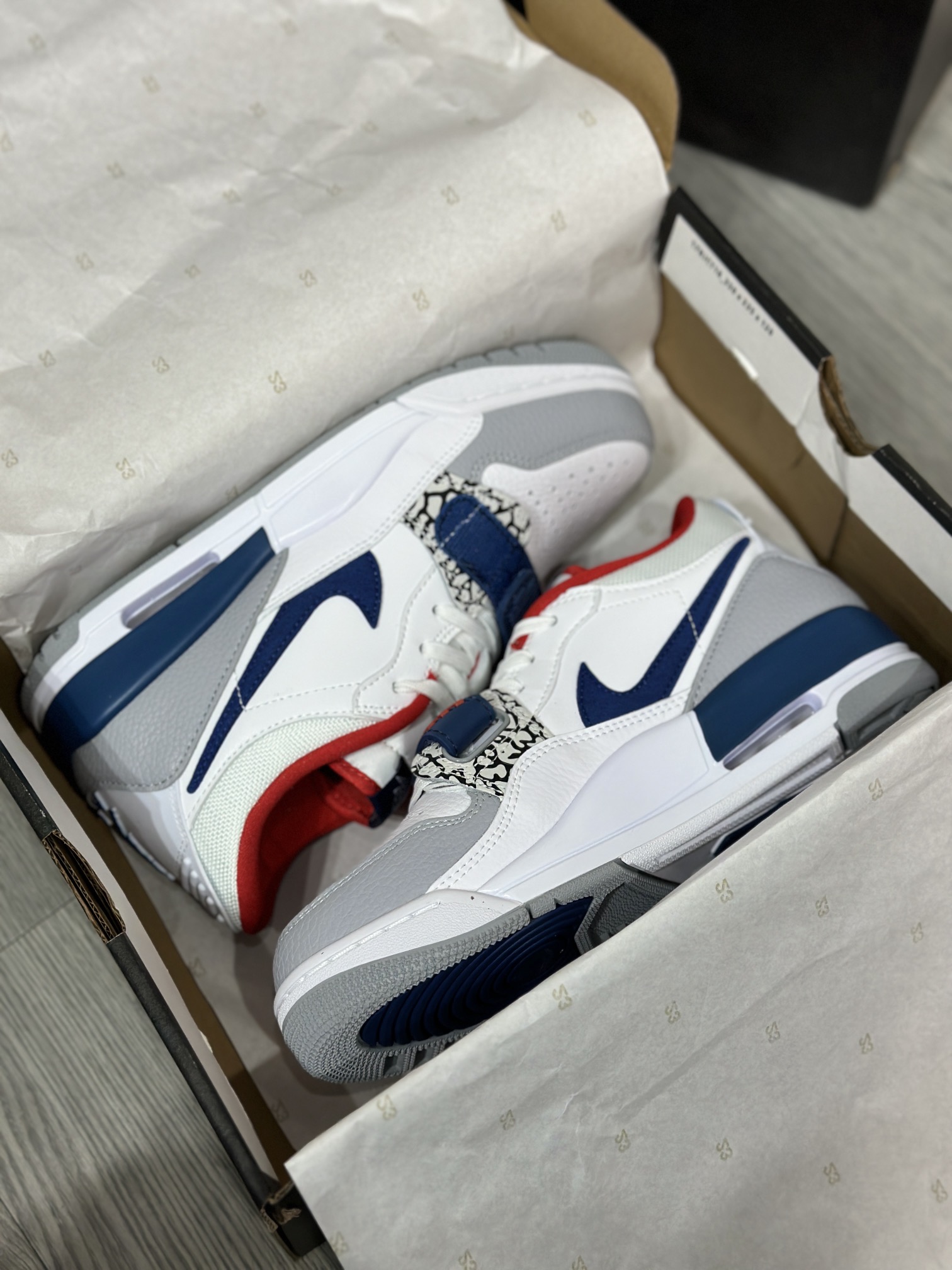 Jordan Nike Basic Shoes L