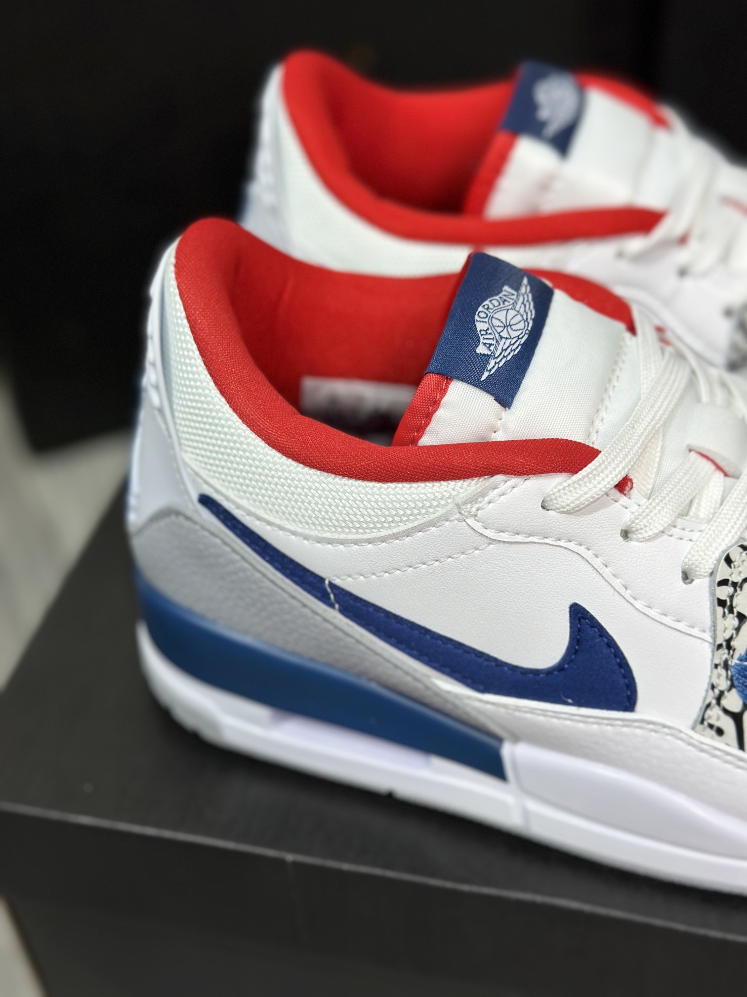 Jordan Nike Basic Shoes L