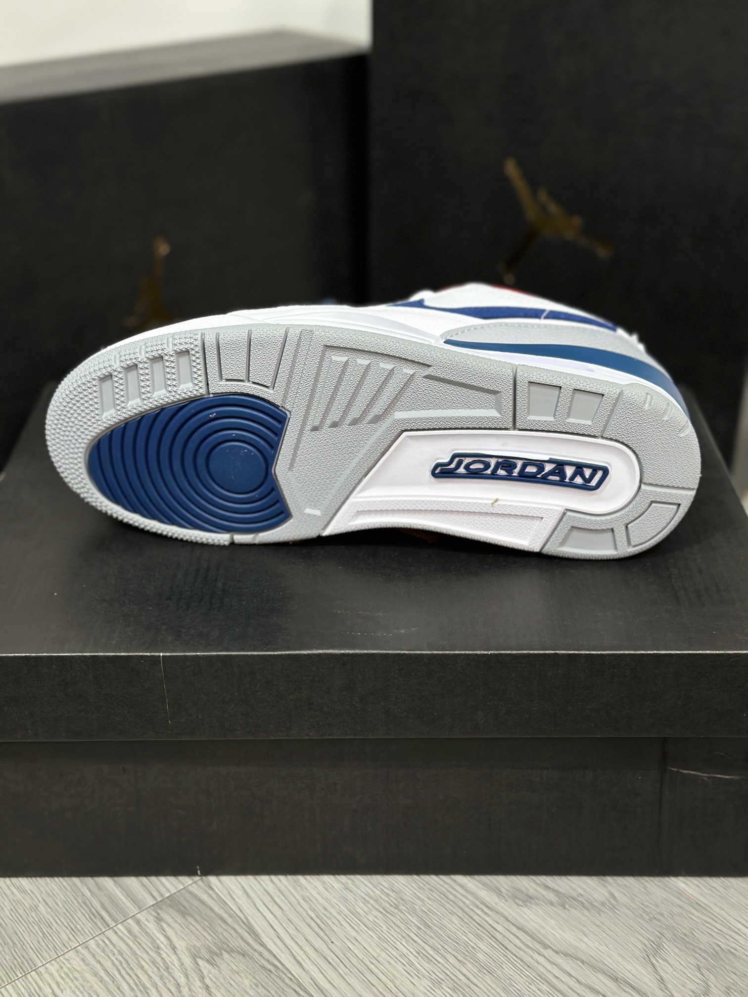 Jordan Nike Basic Shoes L