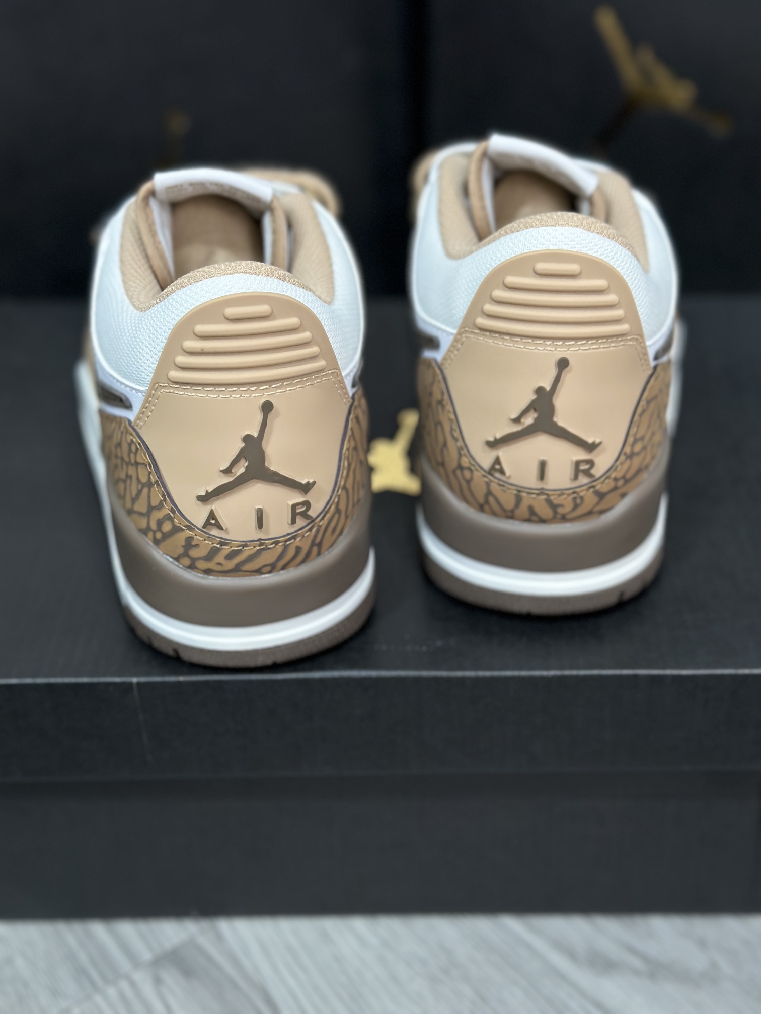 Jordan Nike Basic Shoes L