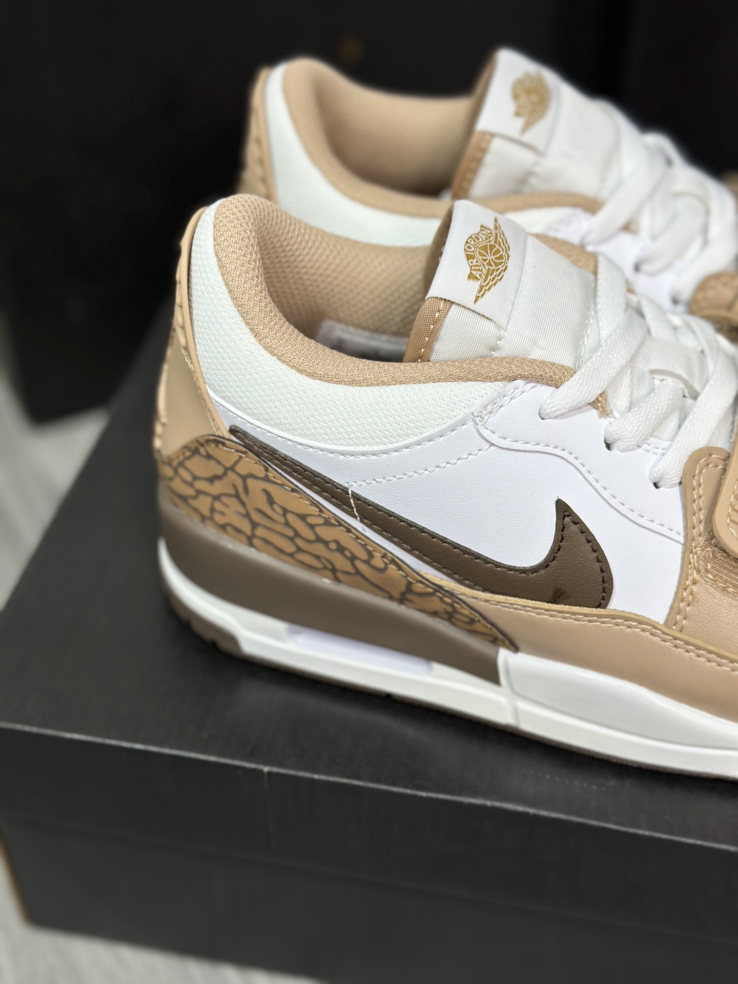 Jordan Nike Basic Shoes L