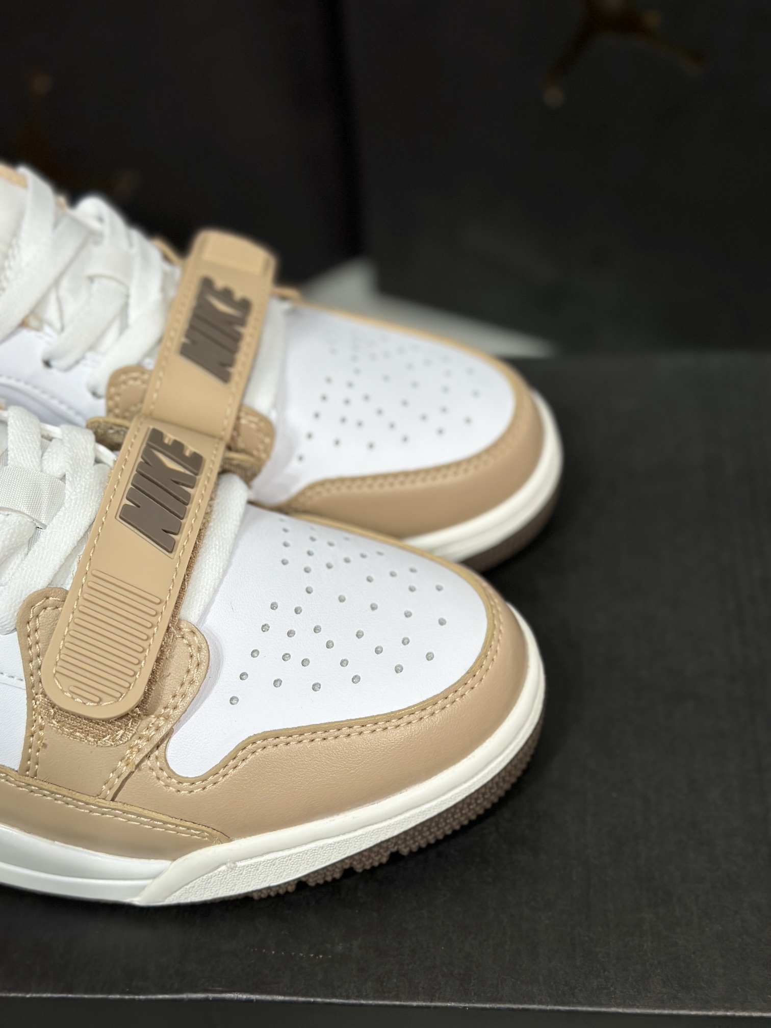 Jordan Nike Basic Shoes L