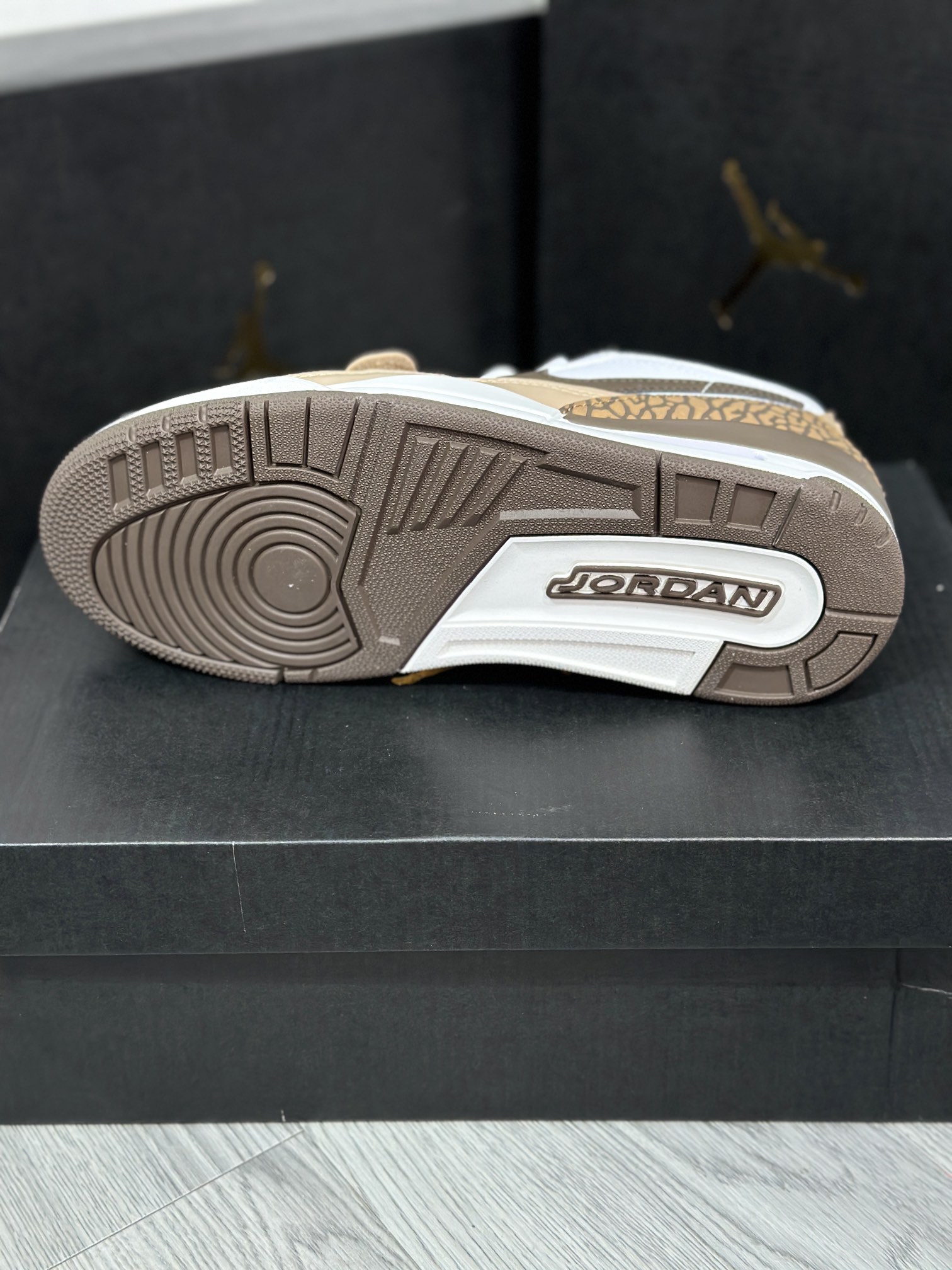 Jordan Nike Basic Shoes L