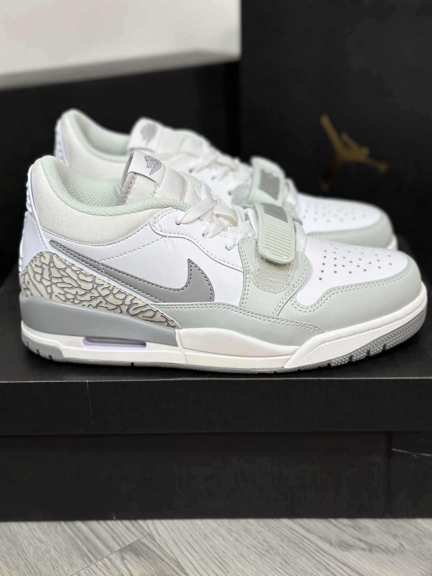 Jordan Nike Basic Shoes L