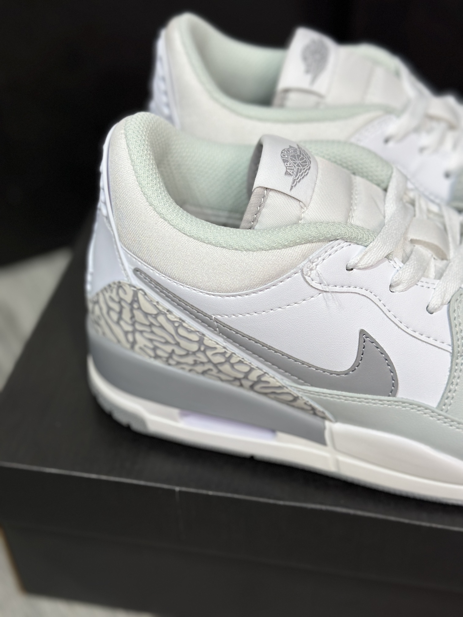 Jordan Nike Basic Shoes L