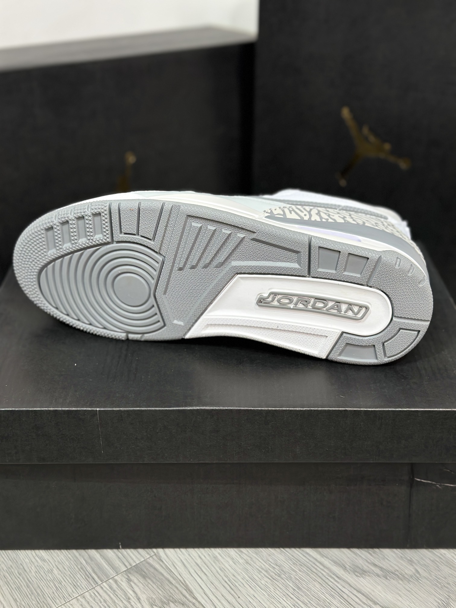 Jordan Nike Basic Shoes L