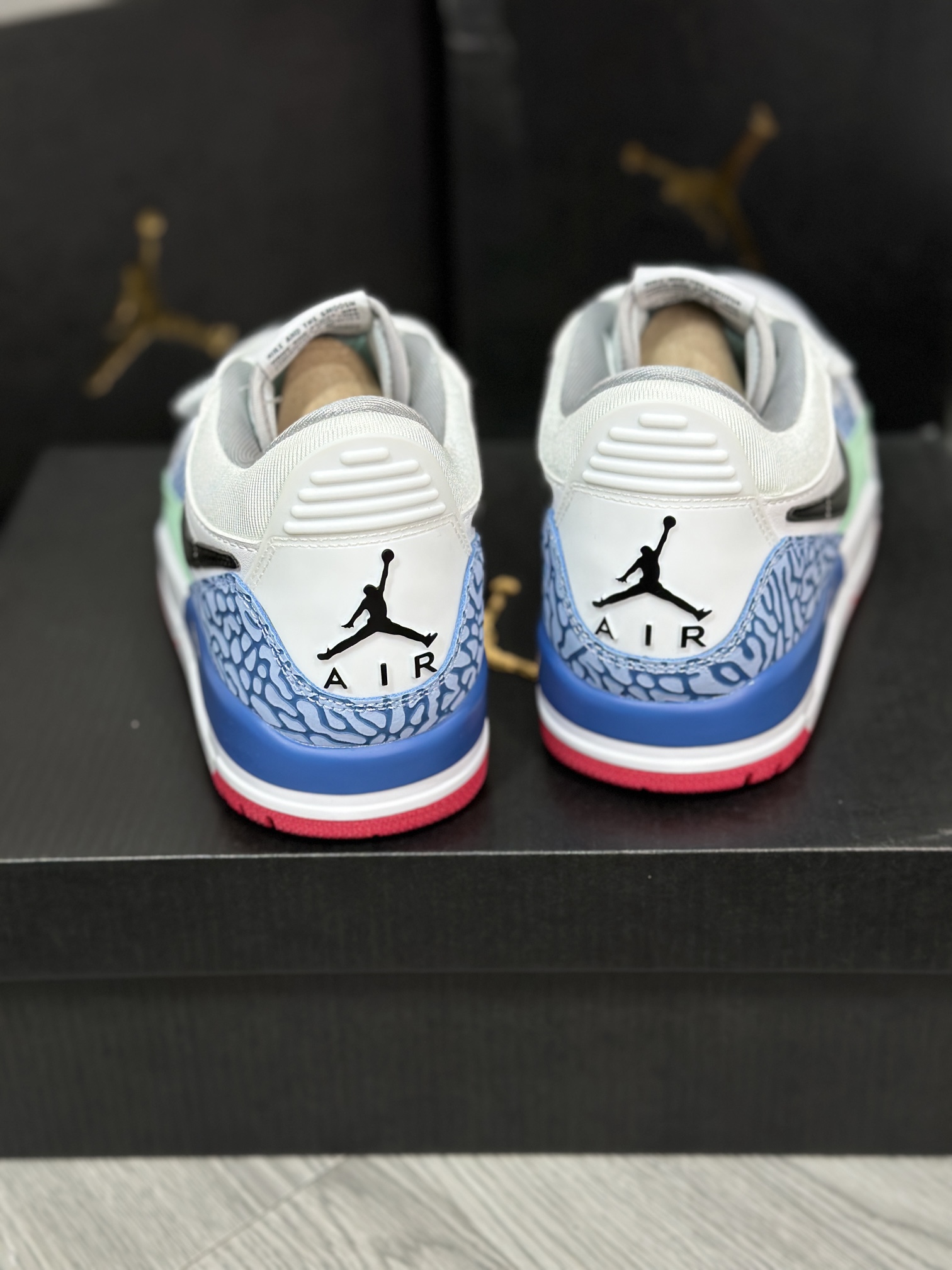 Jordan Nike Basic Shoes L