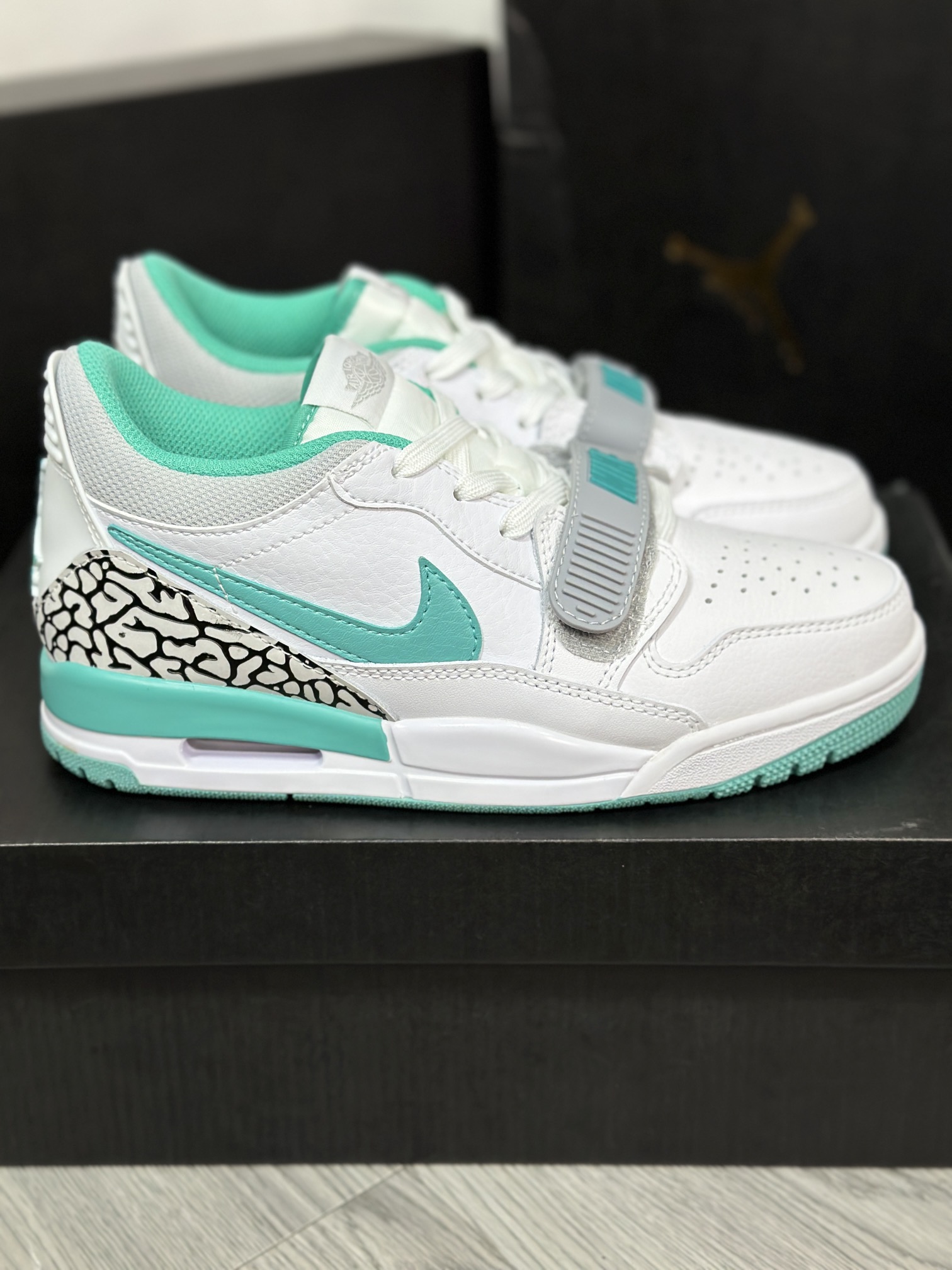 Jordan Nike Basic Shoes L