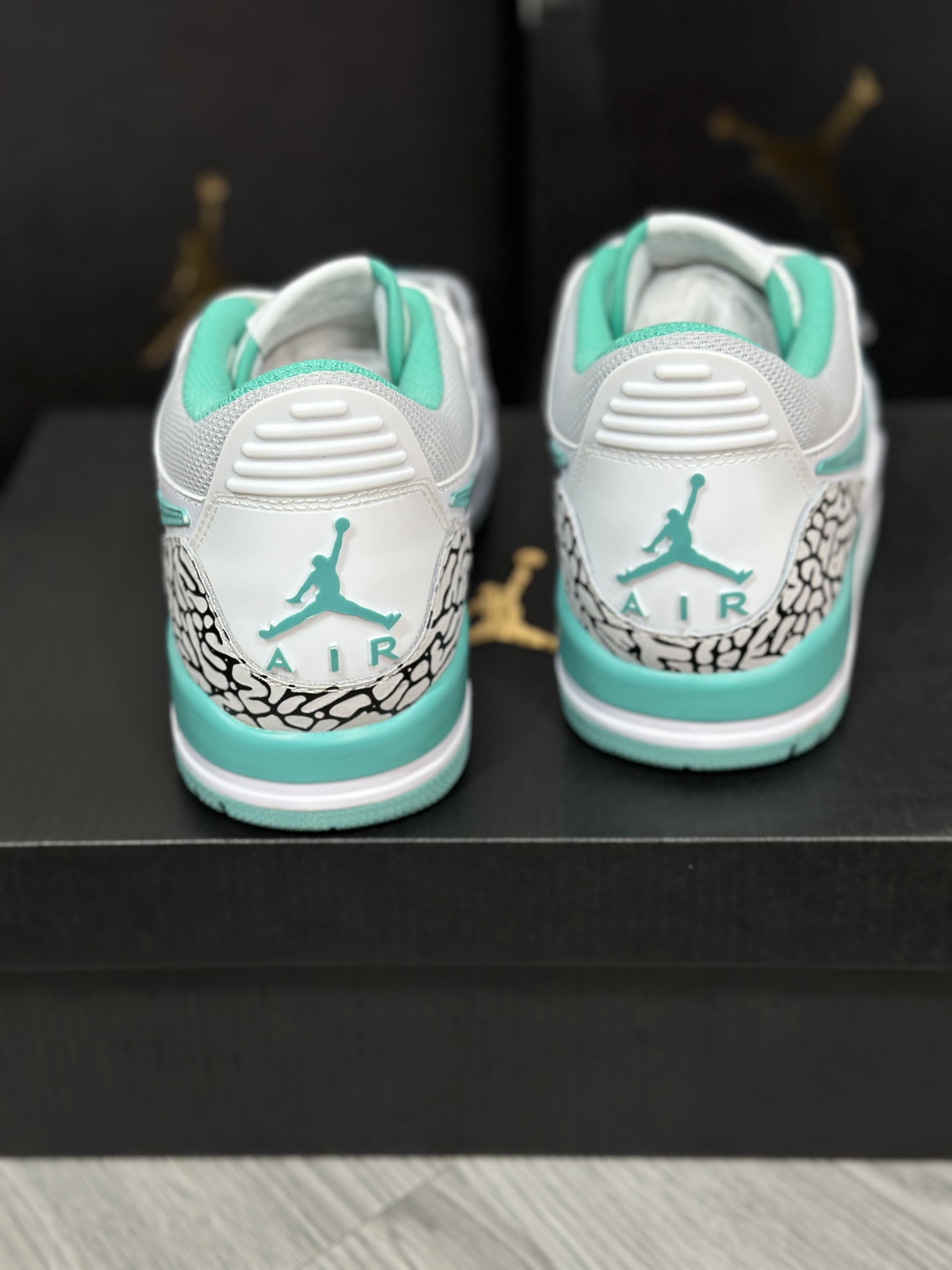 Jordan Nike Basic Shoes L