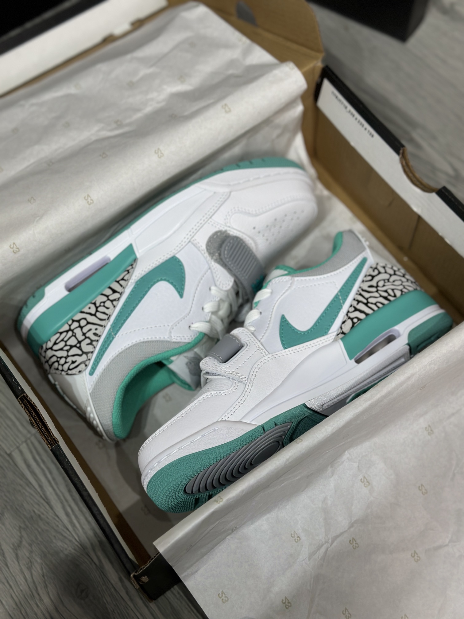 Jordan Nike Basic Shoes L