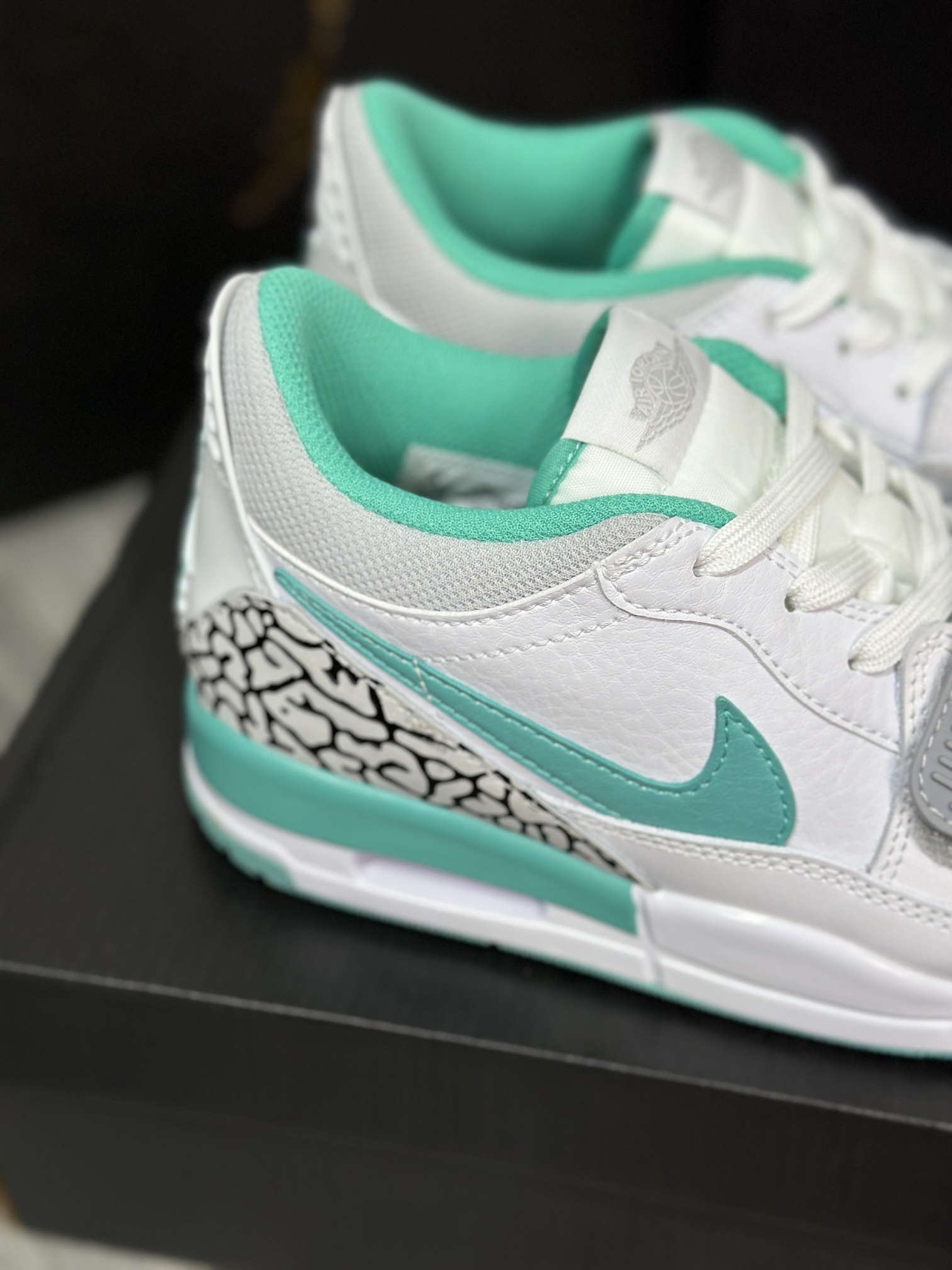 Jordan Nike Basic Shoes L