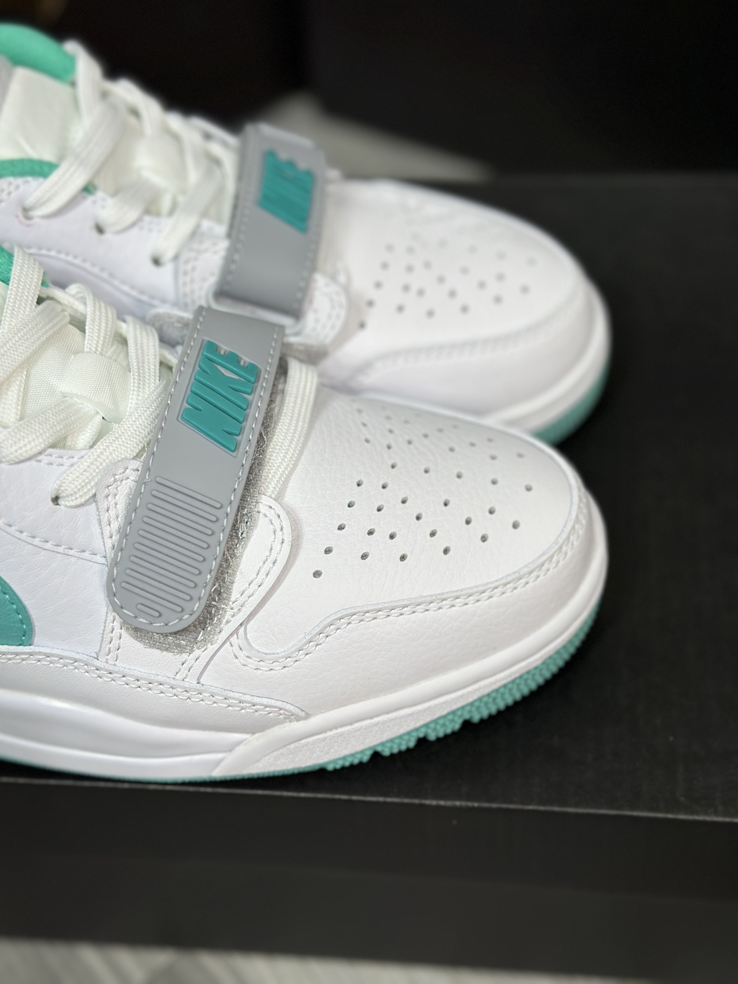 Jordan Nike Basic Shoes L