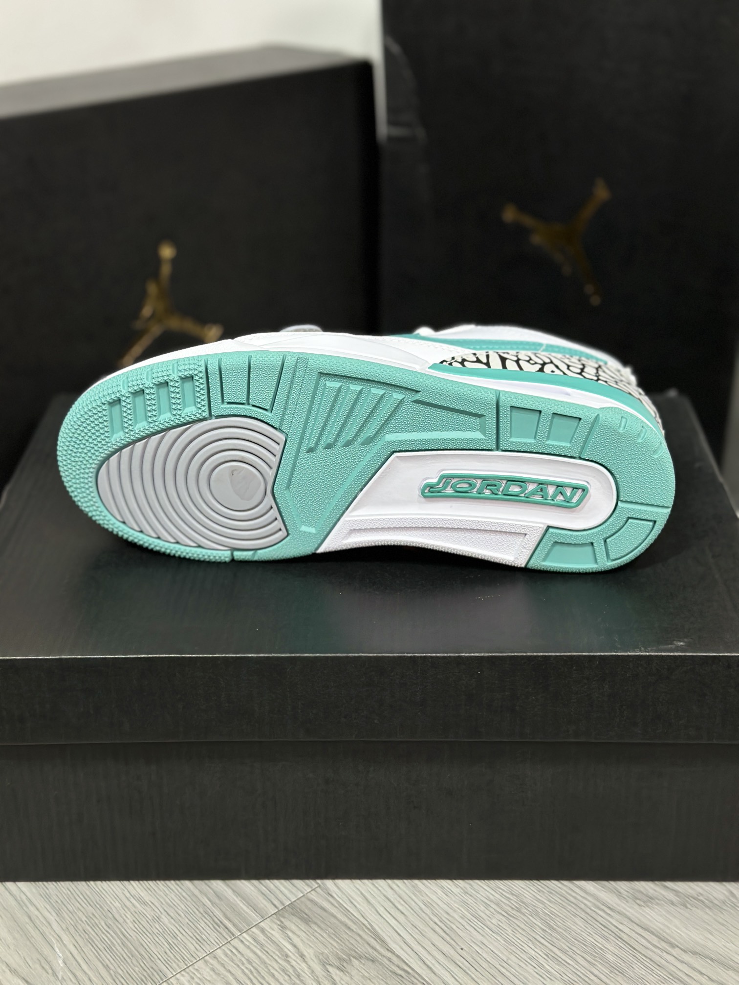 Jordan Nike Basic Shoes L