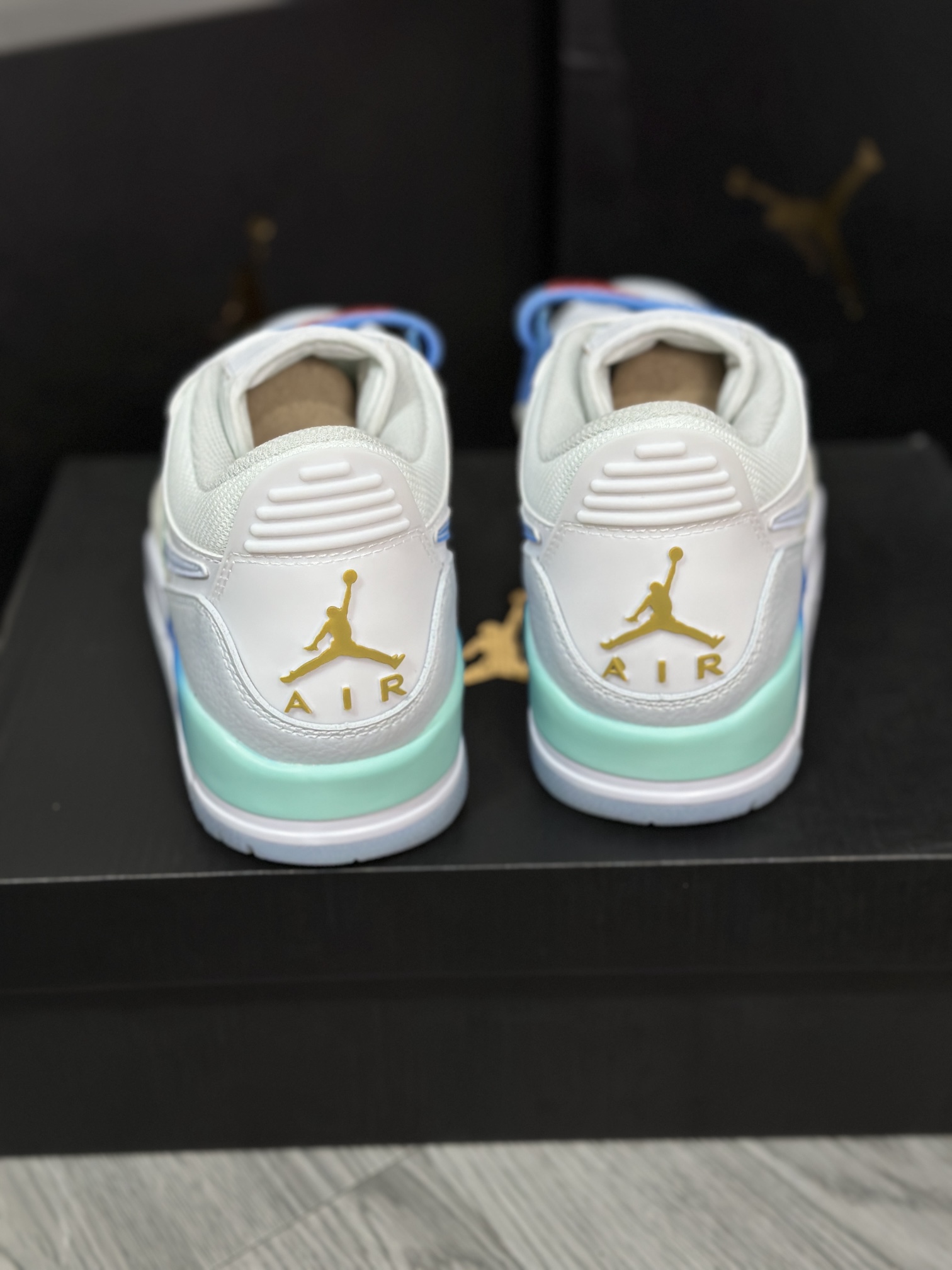 Jordan Nike Basic Shoes L