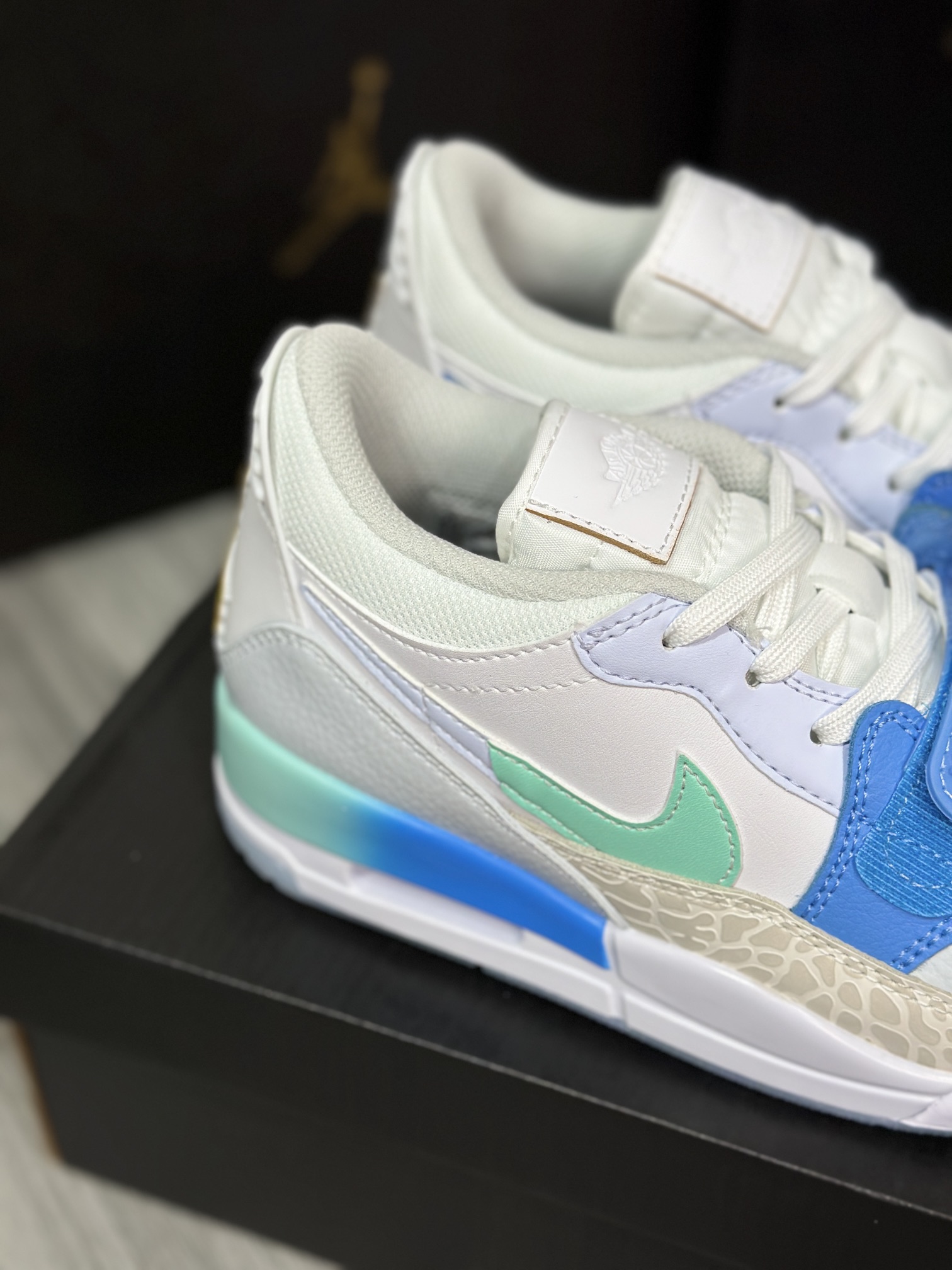 Jordan Nike Basic Shoes L