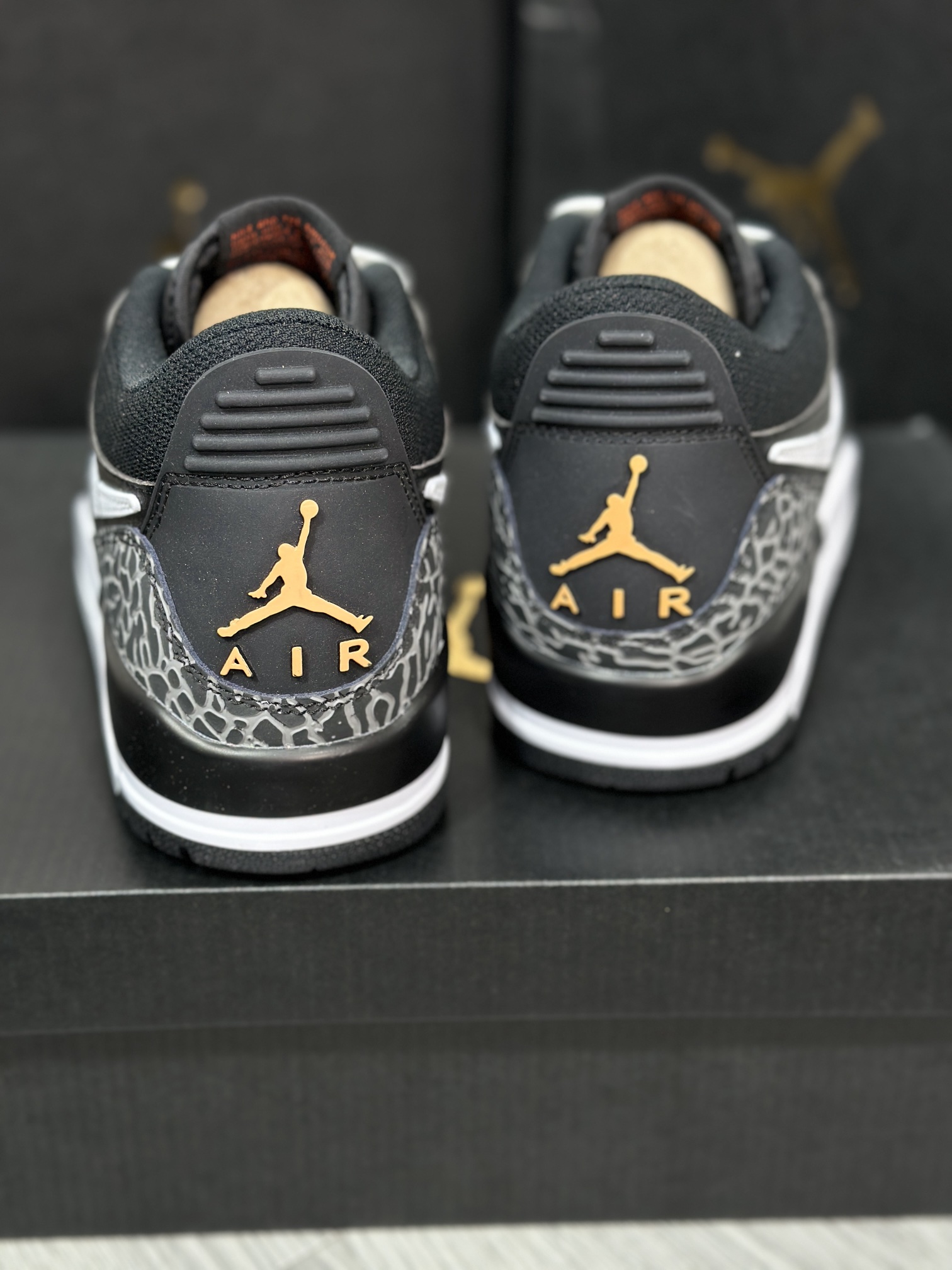 Jordan Nike Basic Shoes L